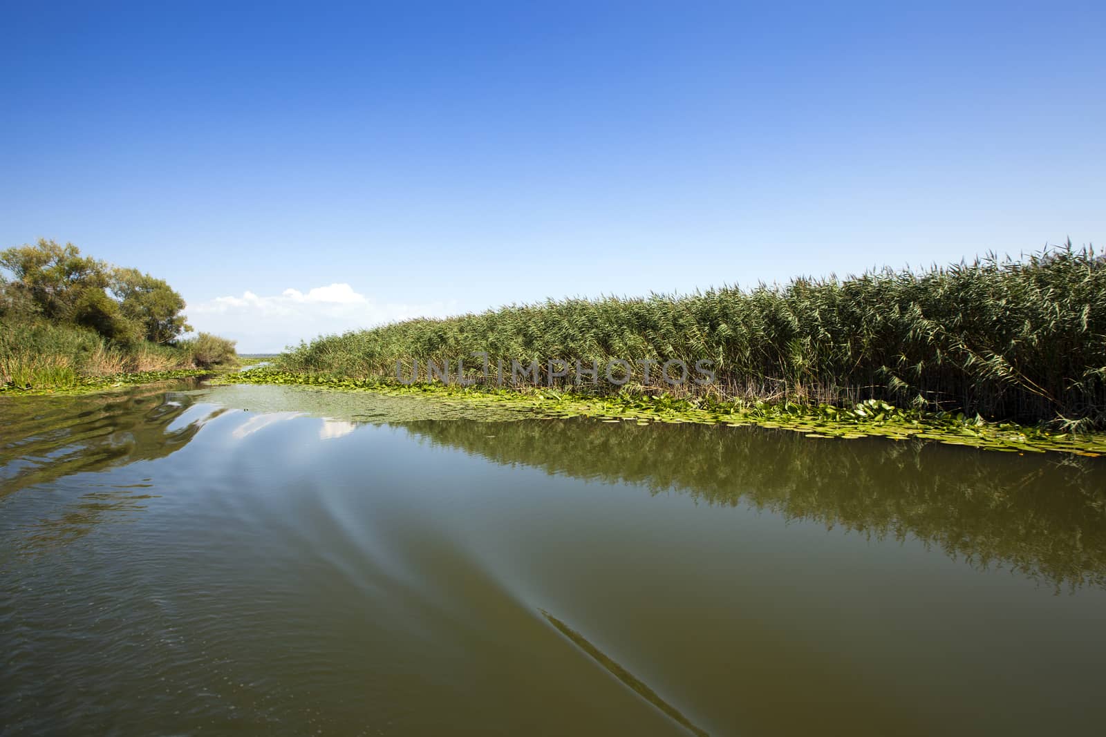 Lake Skadar in Montenegro