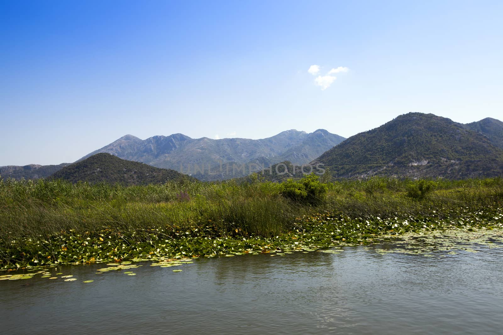   Lake Skadar located in the territory of Montenegro. Summertime of year