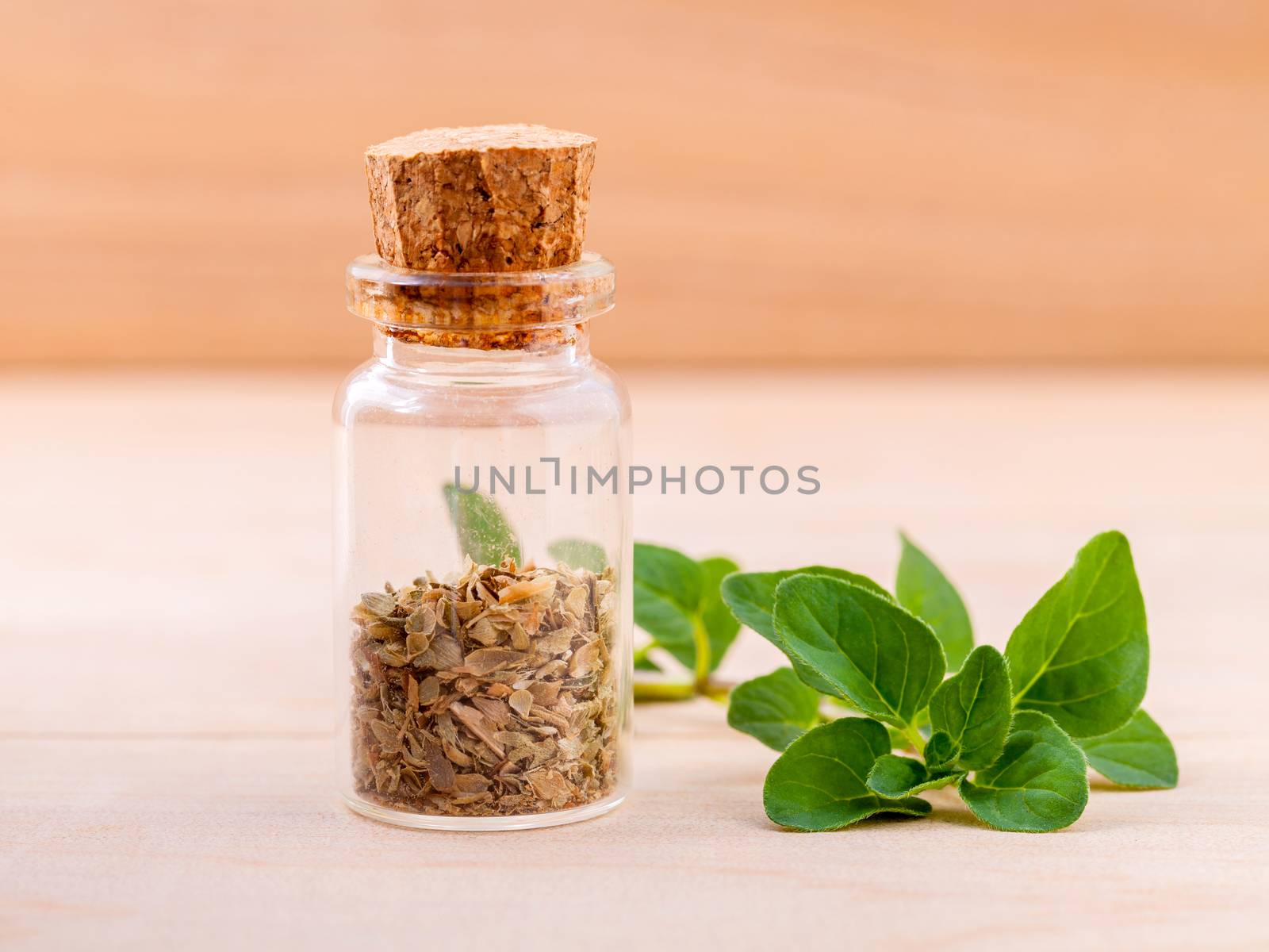 Fresh Oregano and dry Oregano in a the bottle on wooden background .
