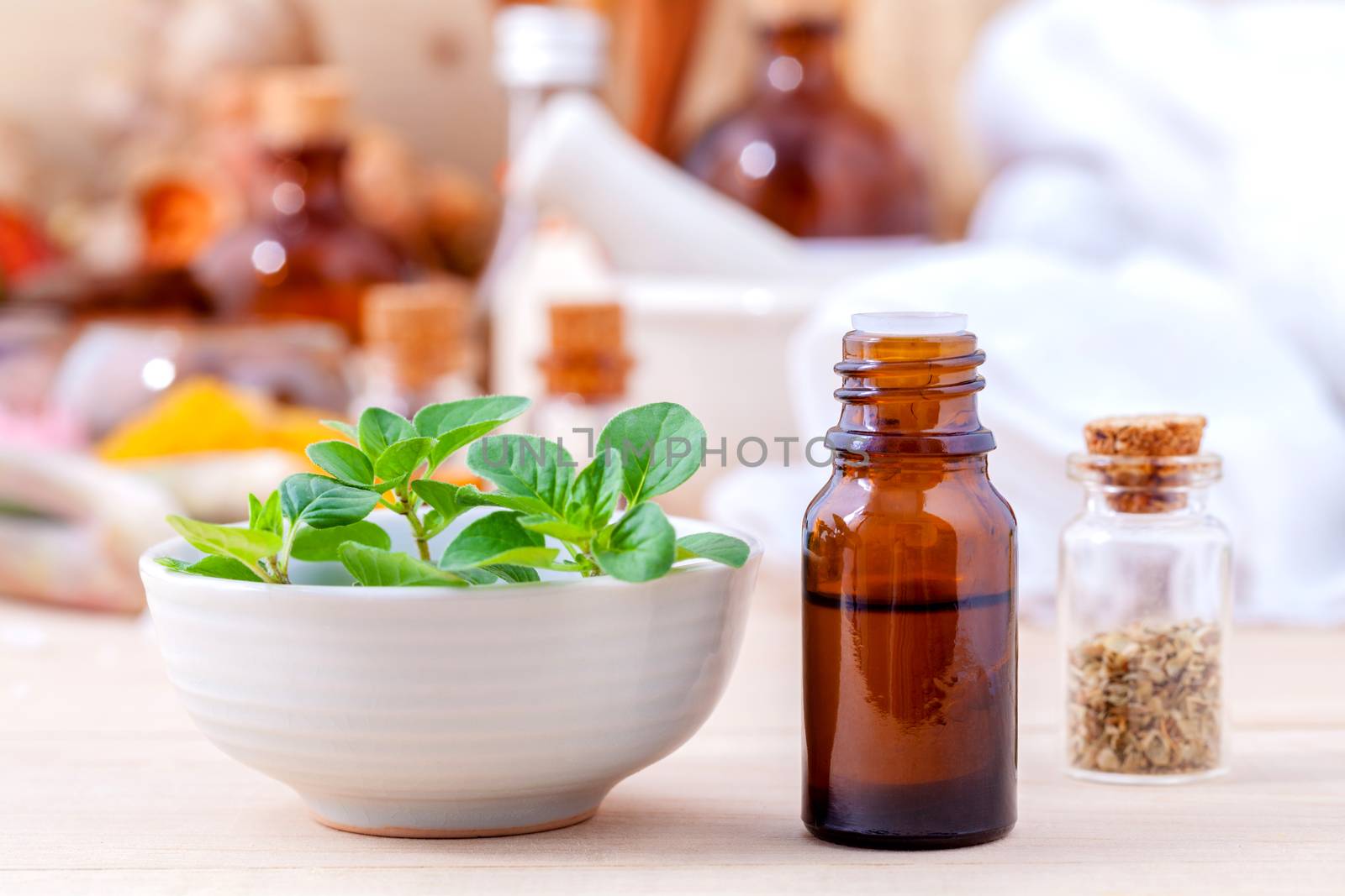 Natural Spa Ingredients essential oil with oregano leaves for ar by kerdkanno