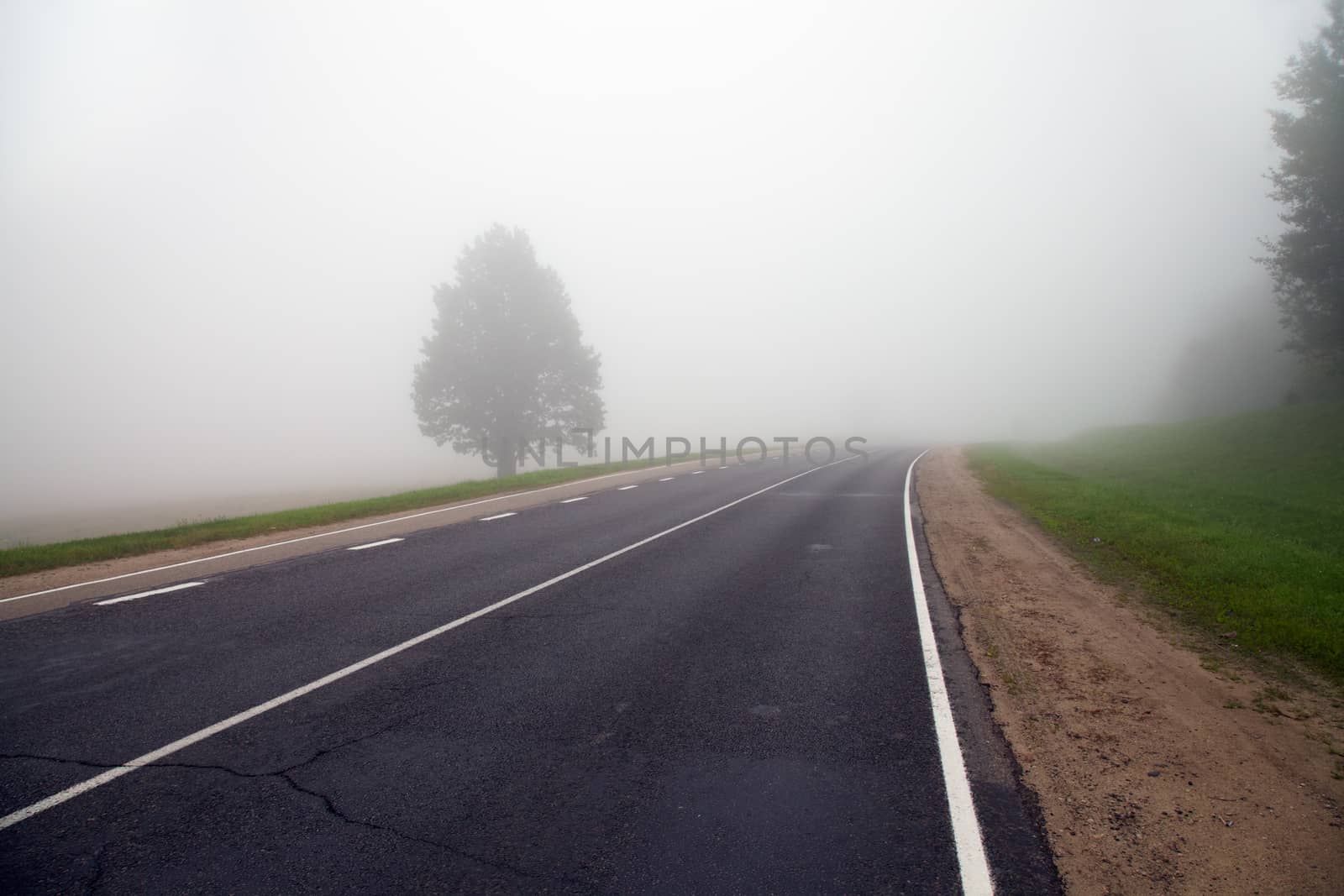  road autumn. tree 