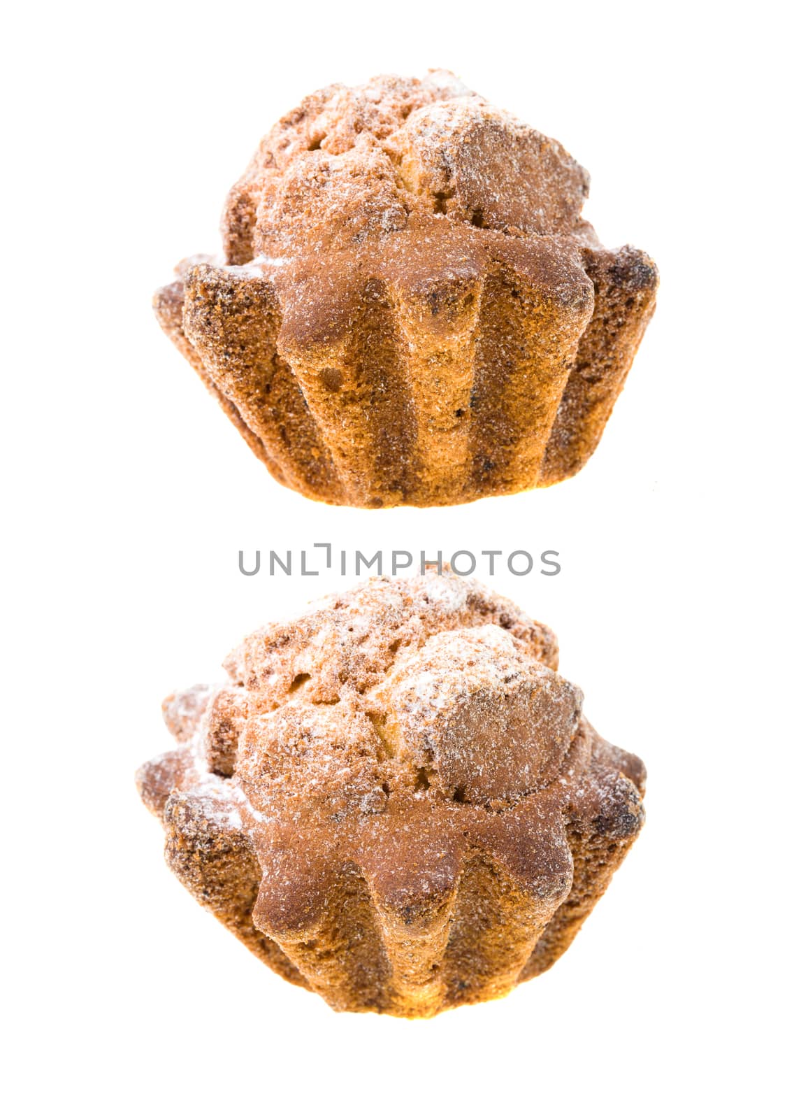 cupcake isolated on white background