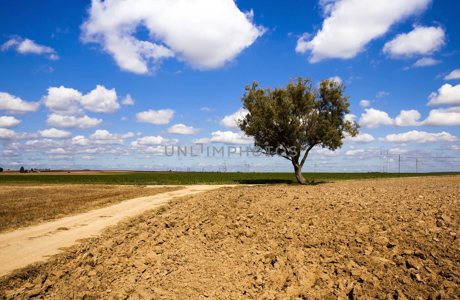  rural road in the summer time year