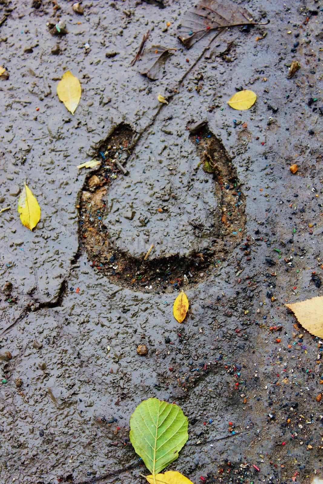 Horseshoe imprint in mud with leaves by cheekylorns