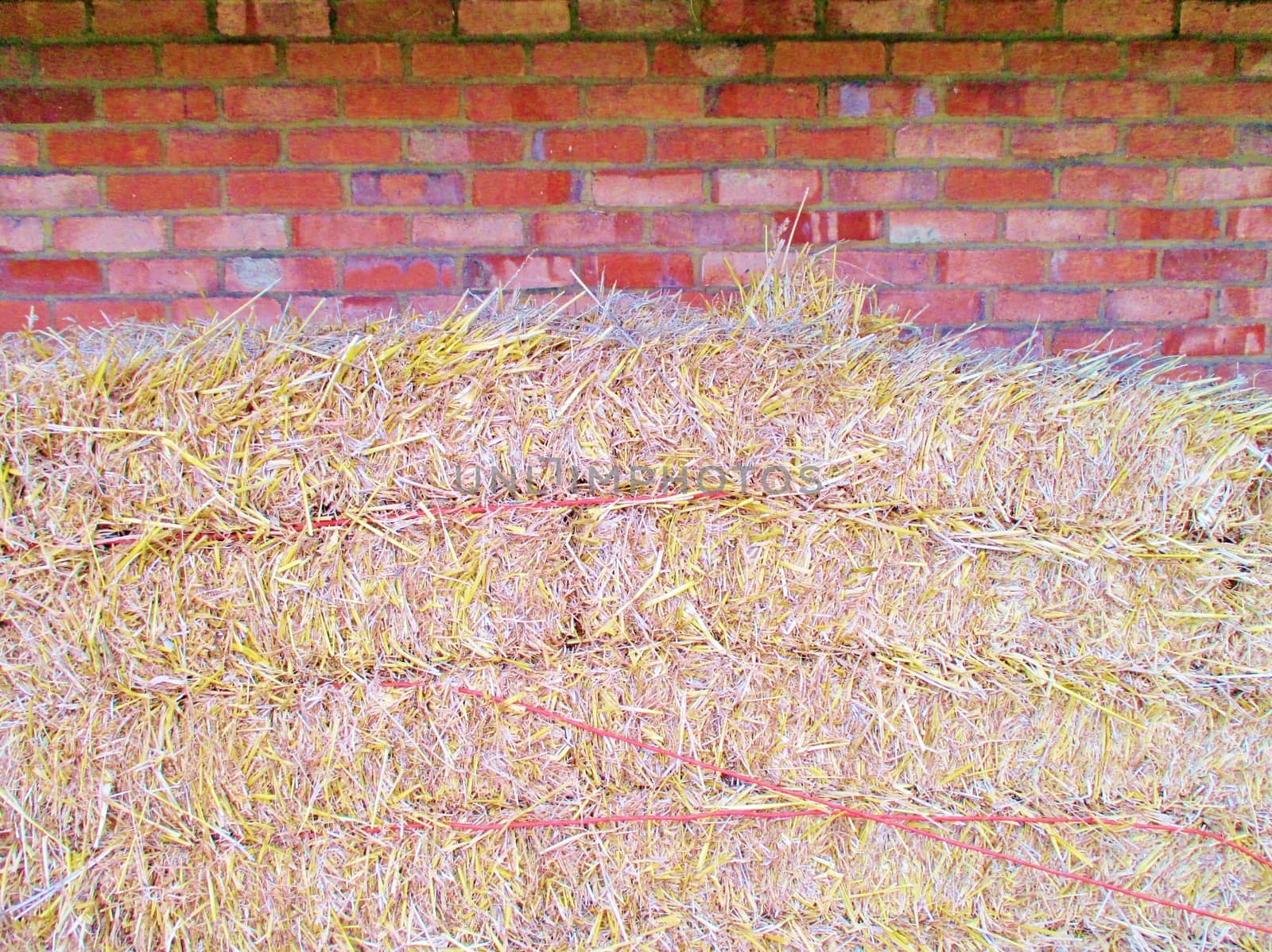 straw hay bales with brickwall and copyspace by cheekylorns