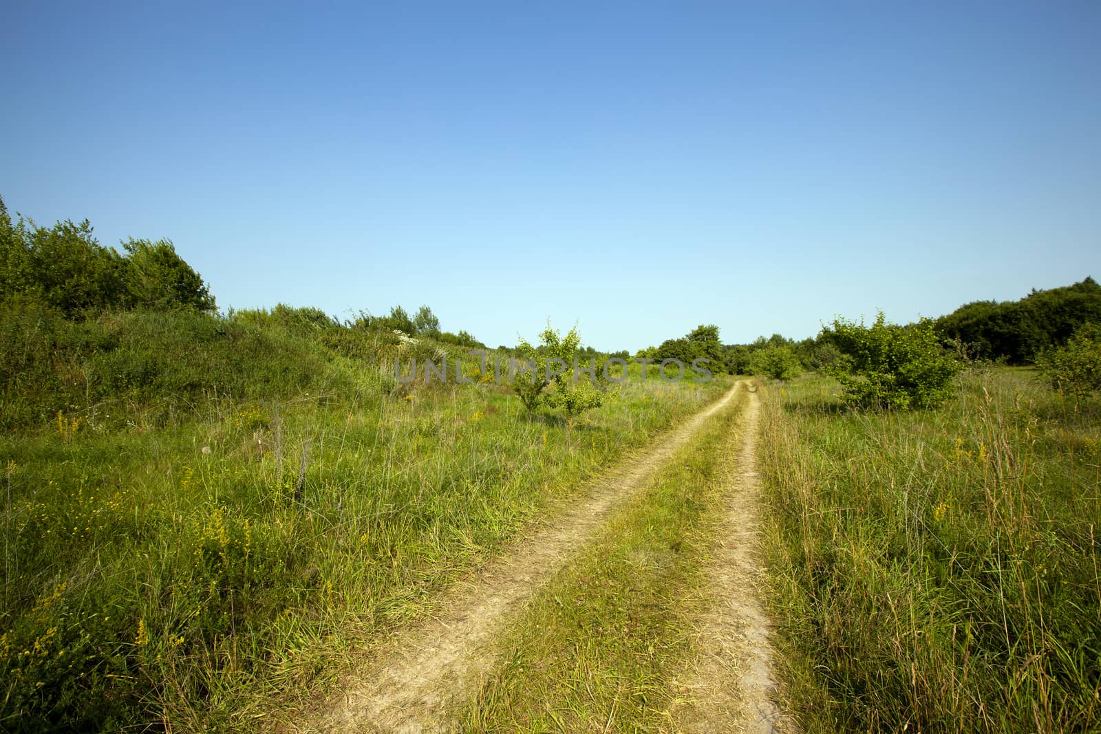  the rural road passing across the field and the wood