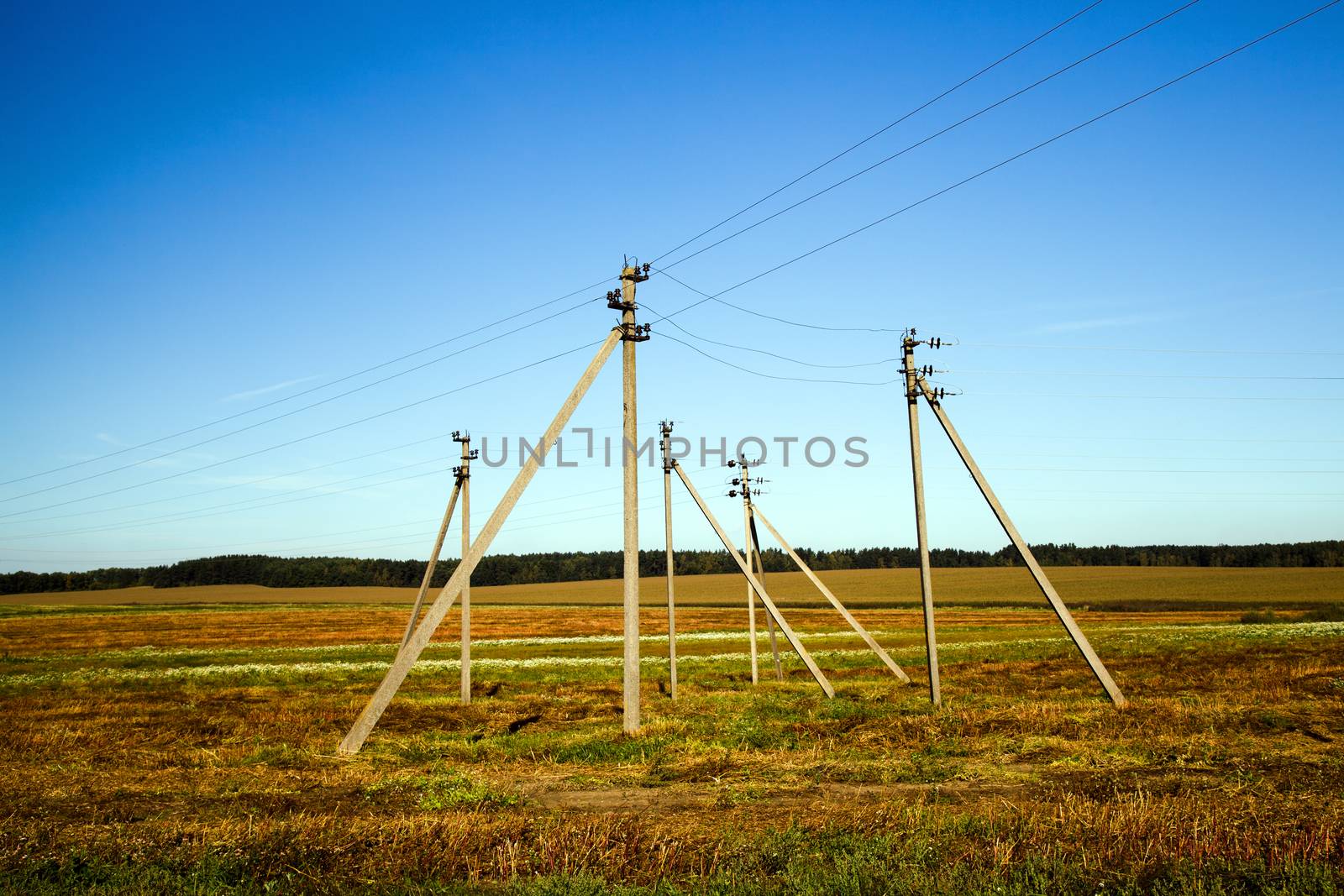 electric columns   by avq