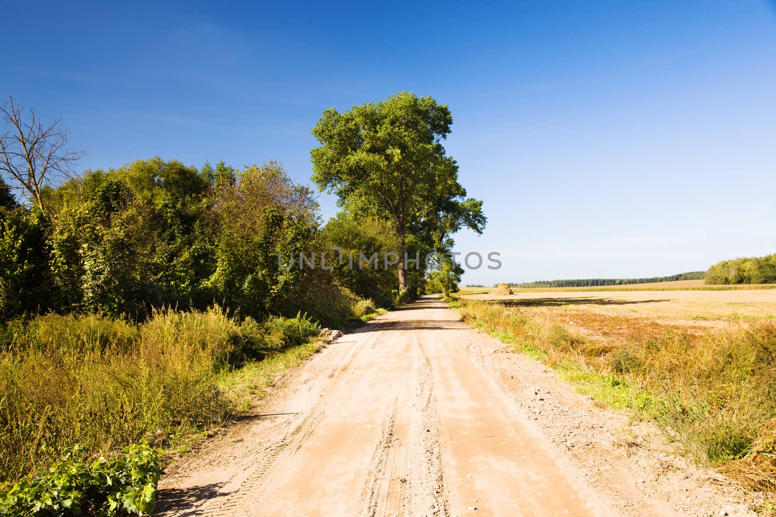  rural road in the summer time year