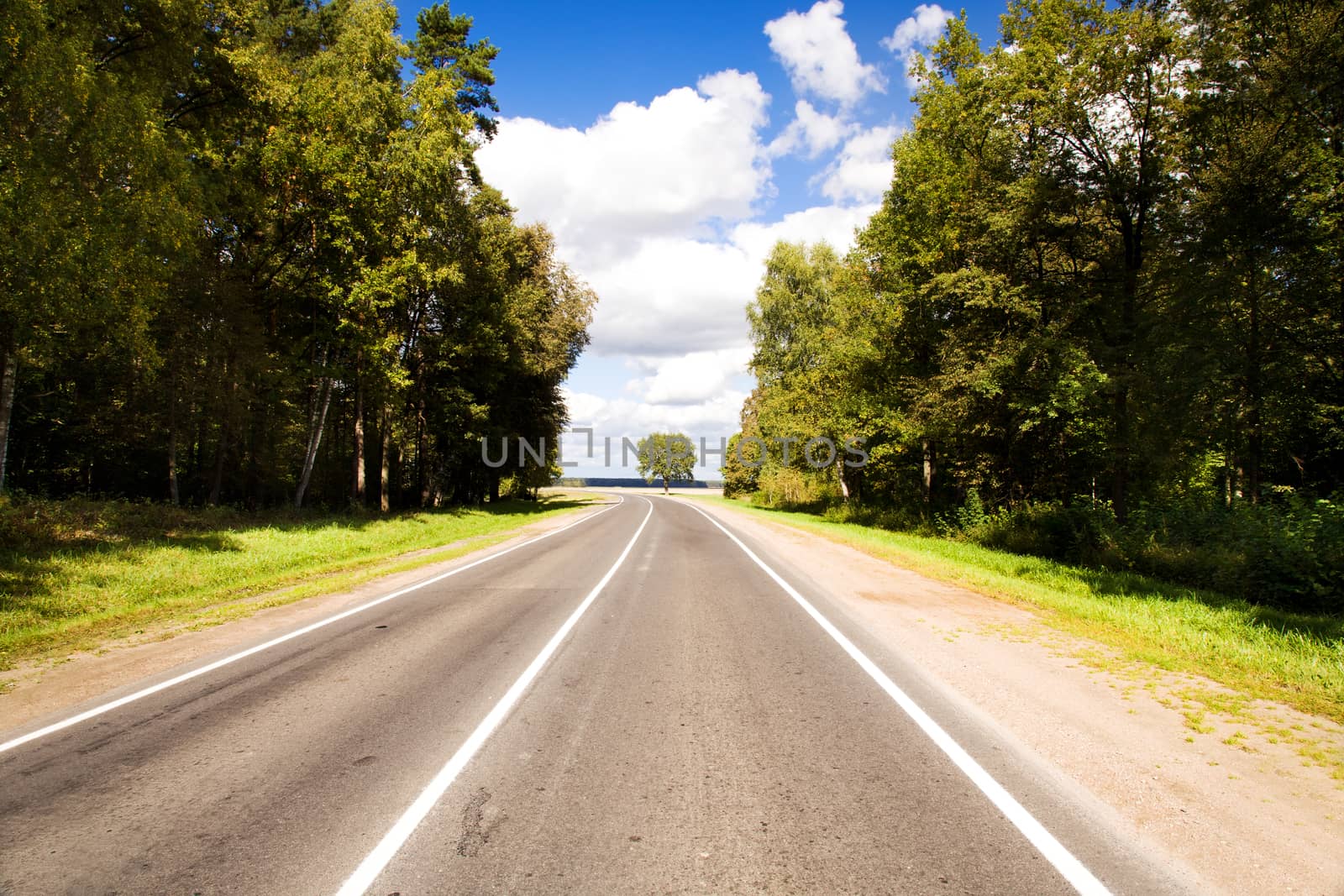 paved road in the summer time