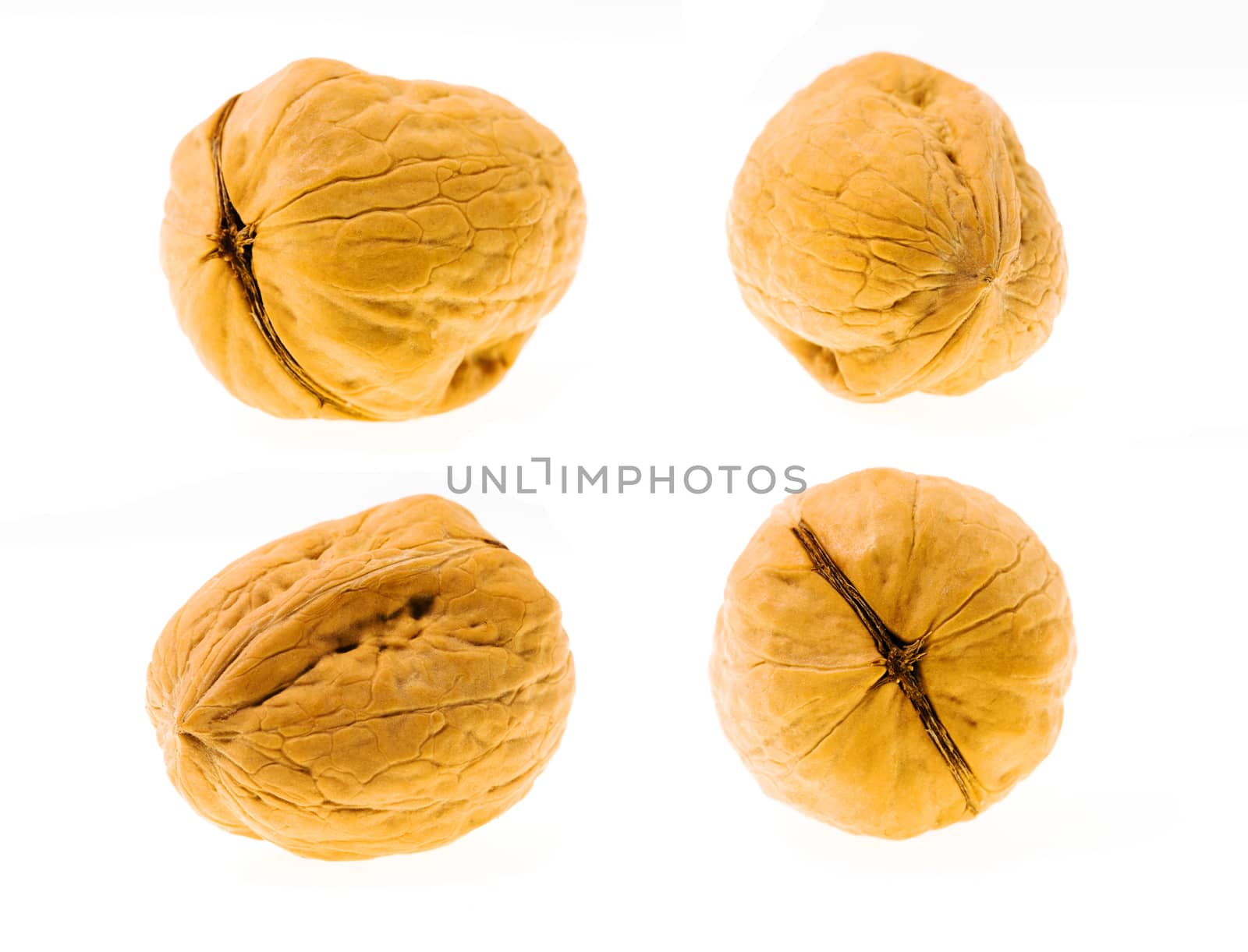 walnuts are isolated on white. a close up