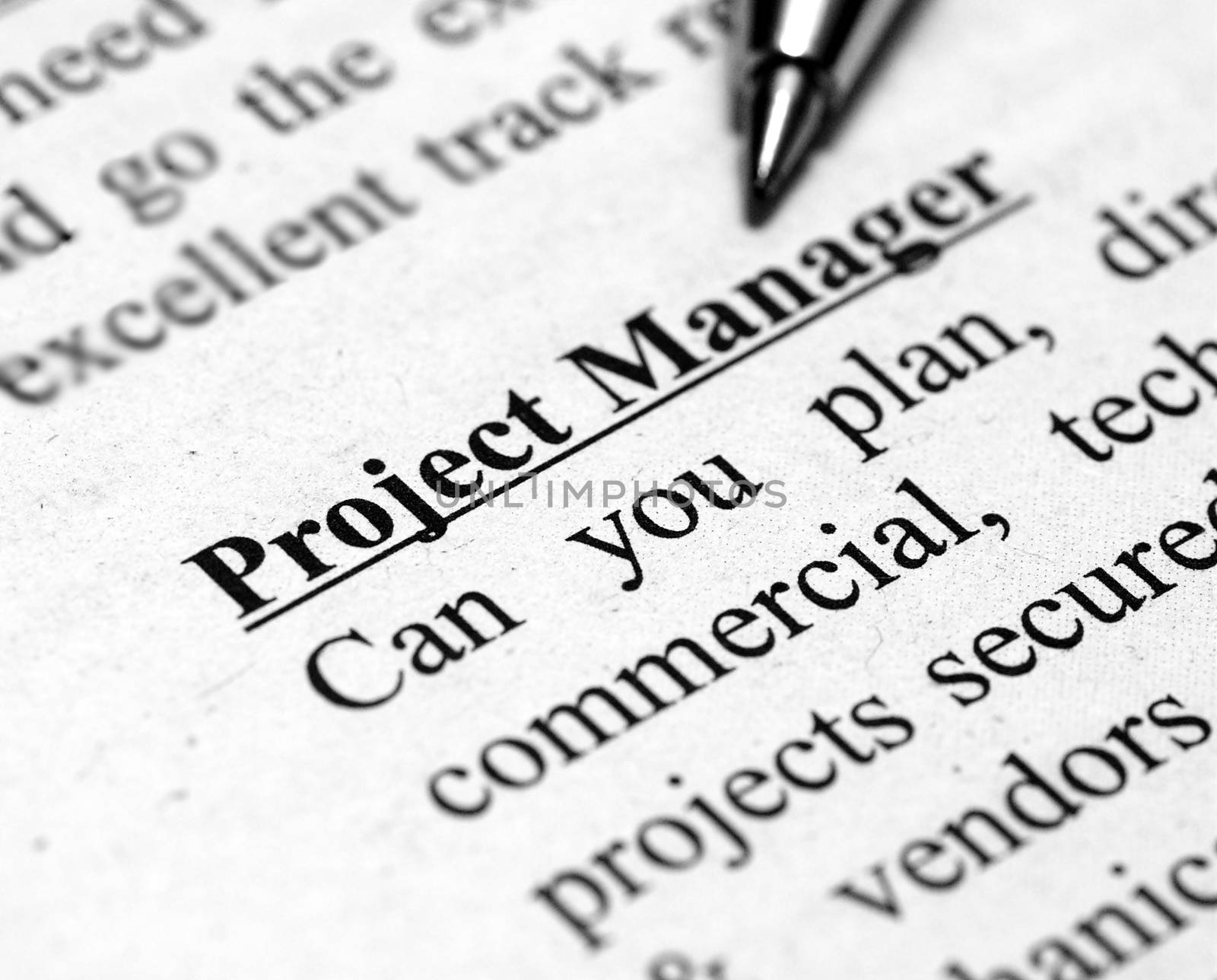 project manager by vignes_81