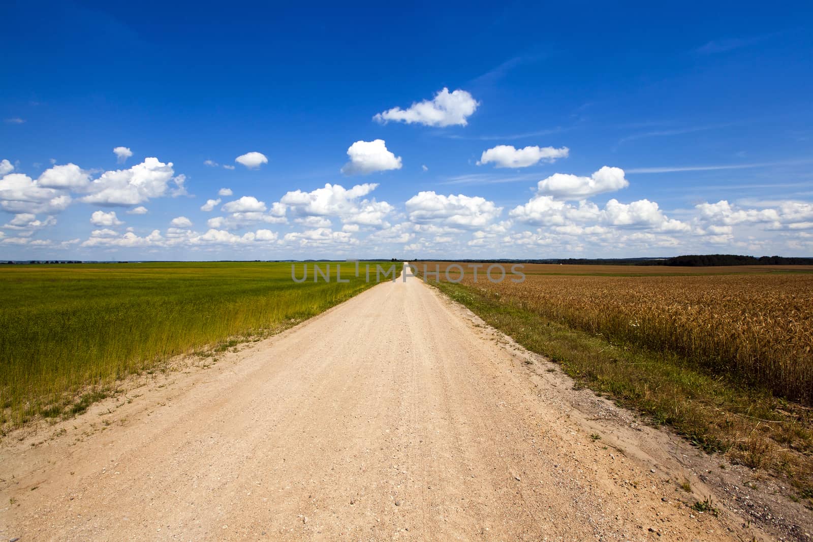  rural road in the summer time year