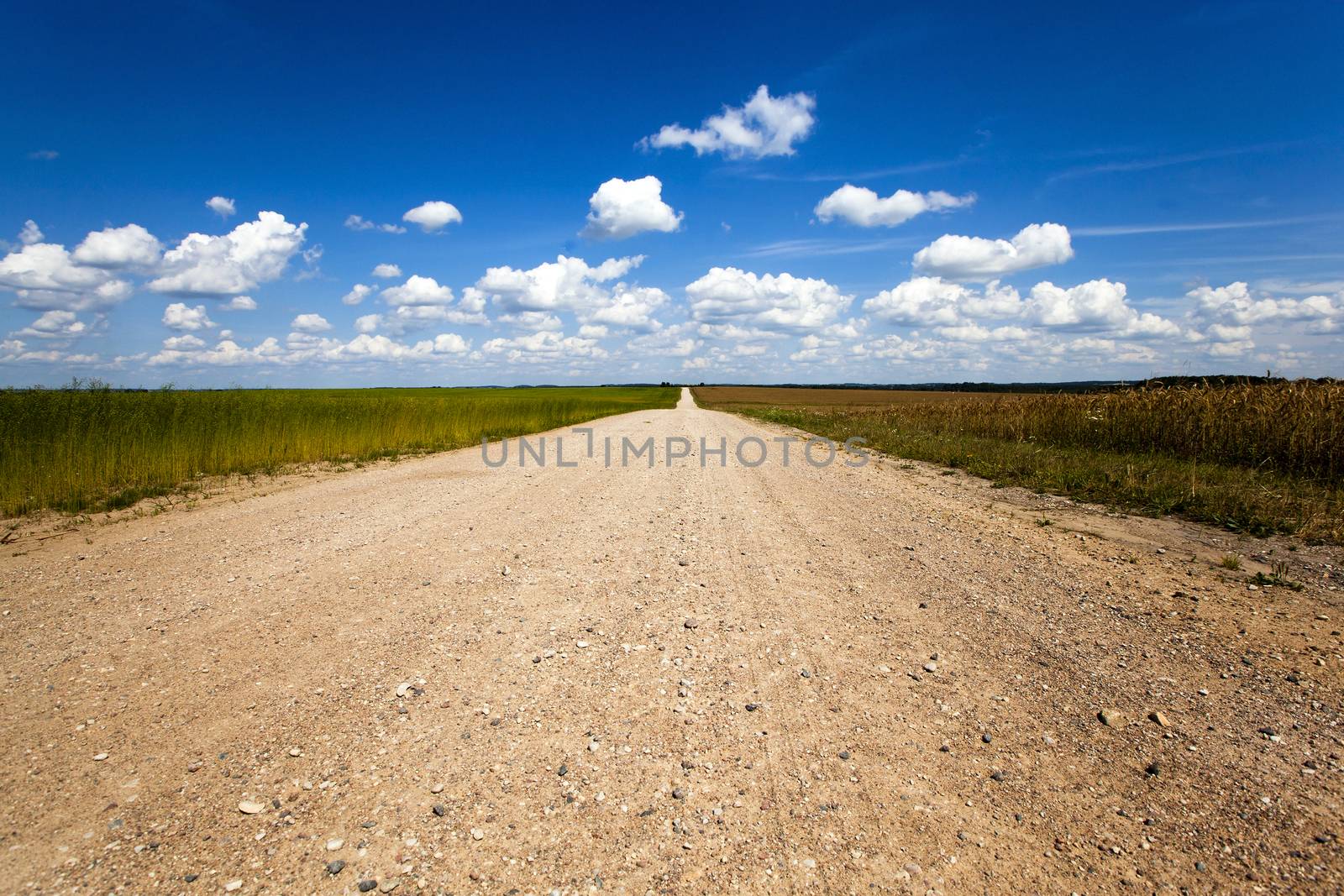   the rural not asphalted road passing through an agricultural field