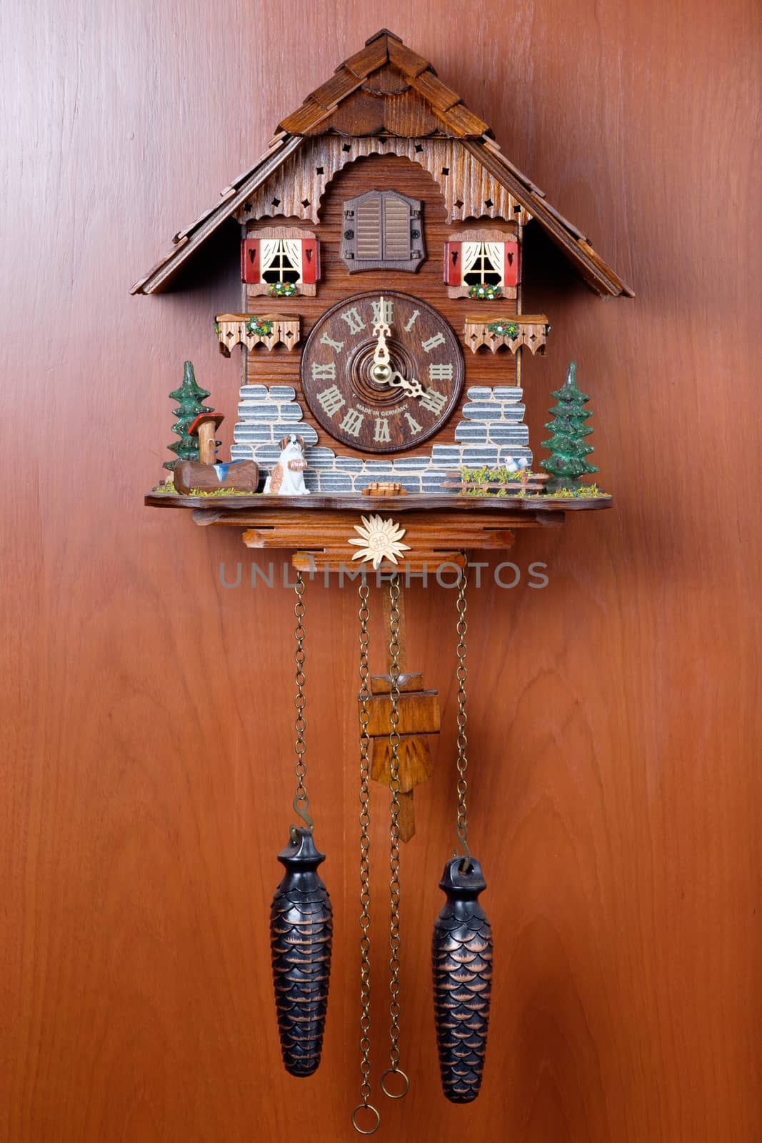 Cuckoo clock with birdie by zneb076