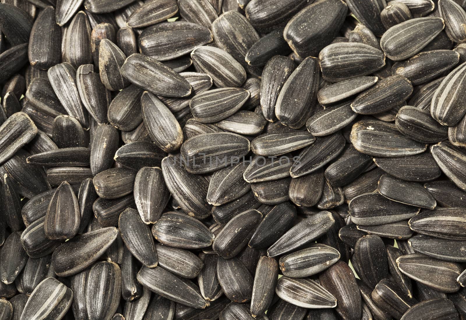 sunflower seeds - sunflower put together
