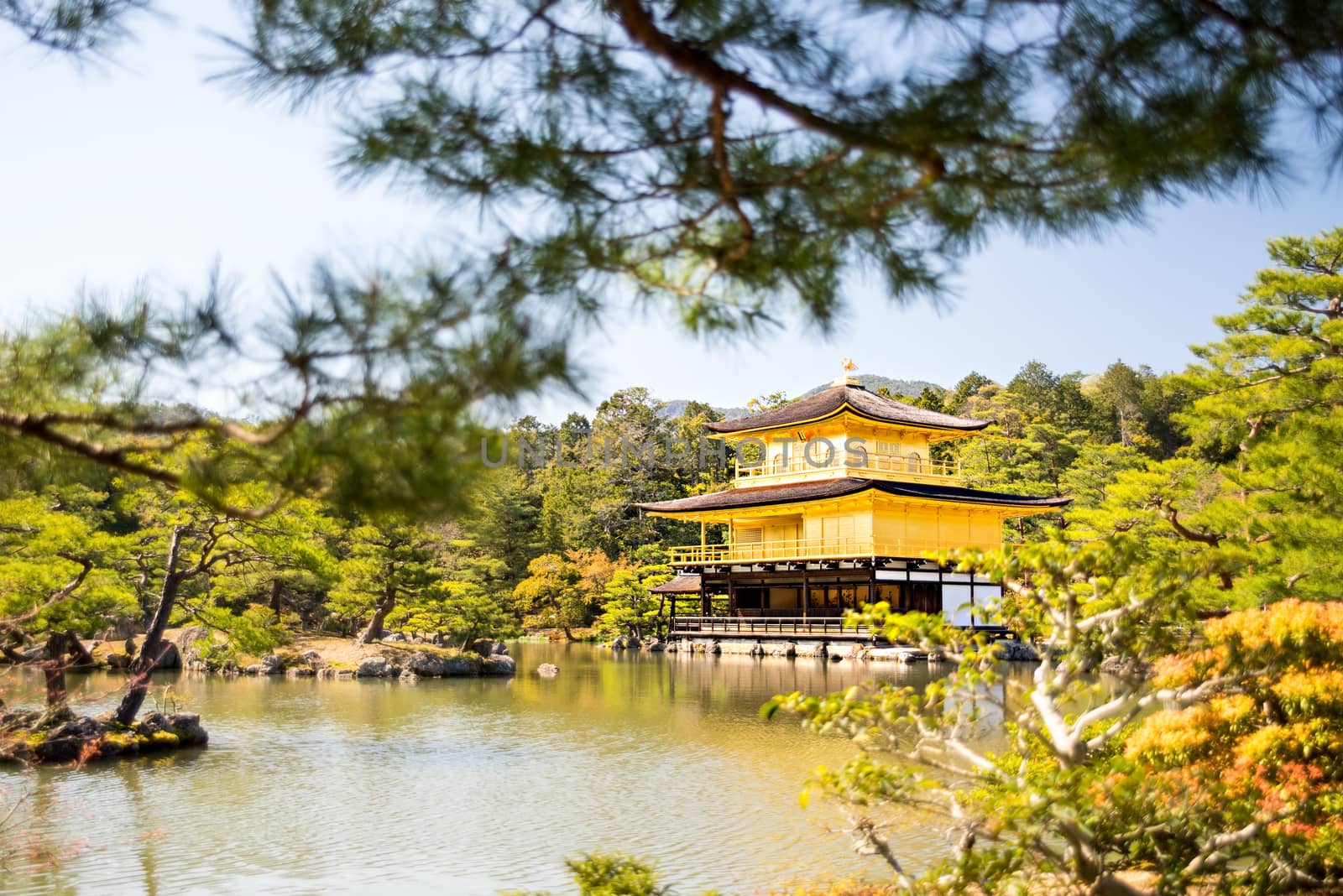 Kinkakuji (Golden Pavilion) is a Zen temple in northern Kyoto whose top two floors are completely covered in gold leaf.