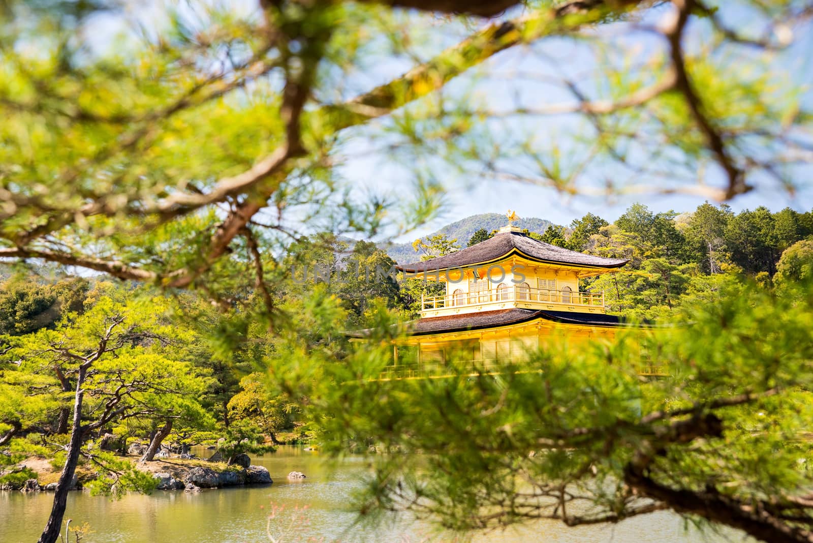 Kinkakuji (Golden Pavilion) is a Zen temple in northern Kyoto whose top two floors are completely covered in gold leaf.