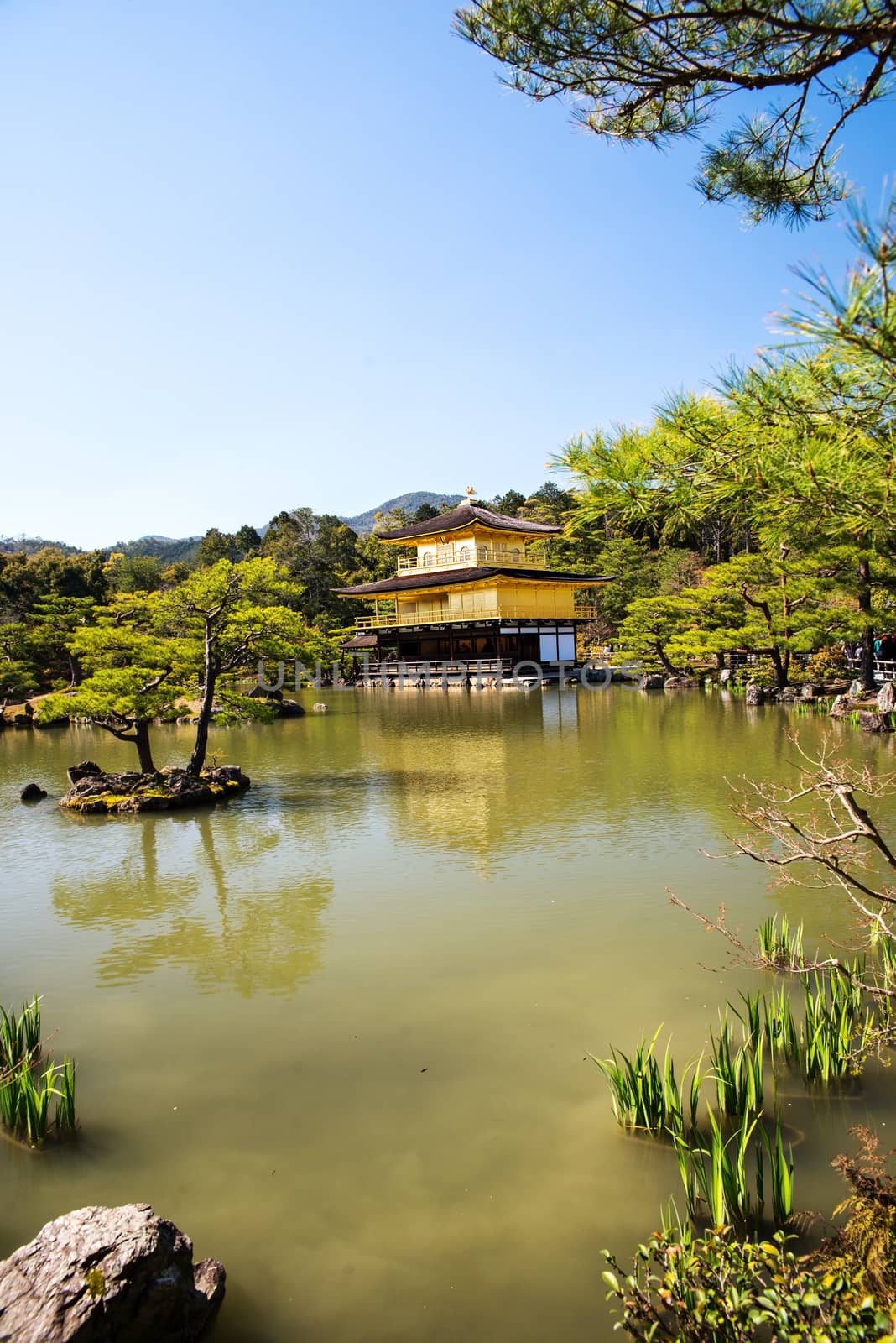 Kinkakuji (Golden Pavilion) is a Zen temple in northern Kyoto by Yuri2012