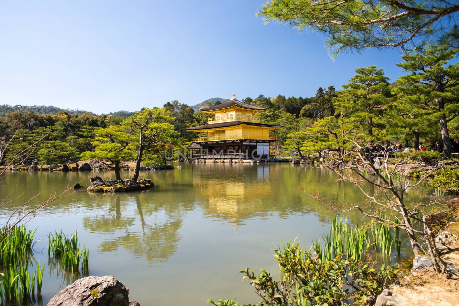 Kinkakuji (Golden Pavilion) is a Zen temple in northern Kyoto by Yuri2012