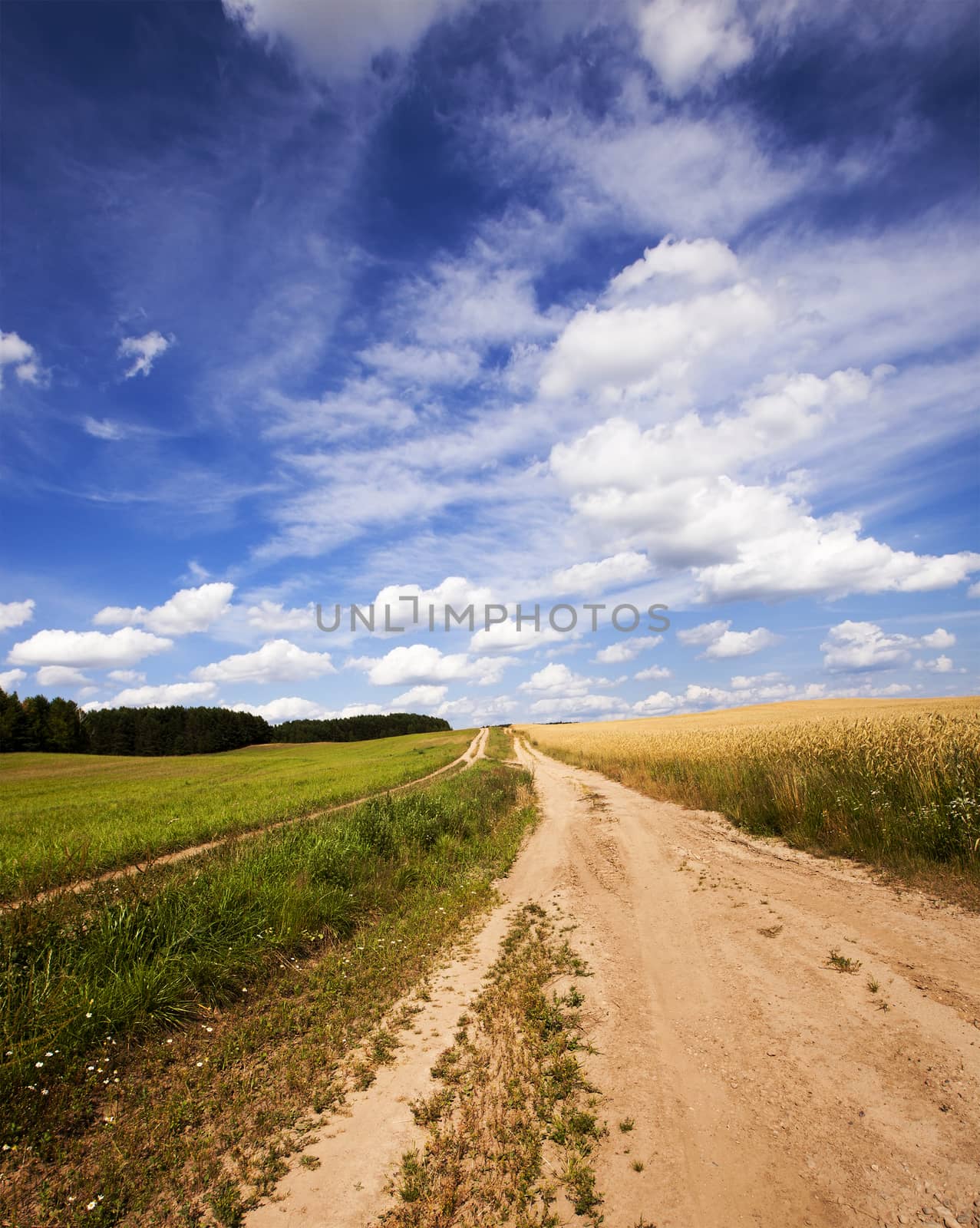  rural road in the summer time year