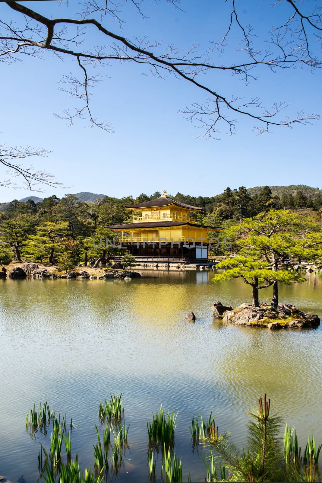 Kinkakuji (Golden Pavilion) is a Zen temple in northern Kyoto whose top two floors are completely covered in gold leaf.