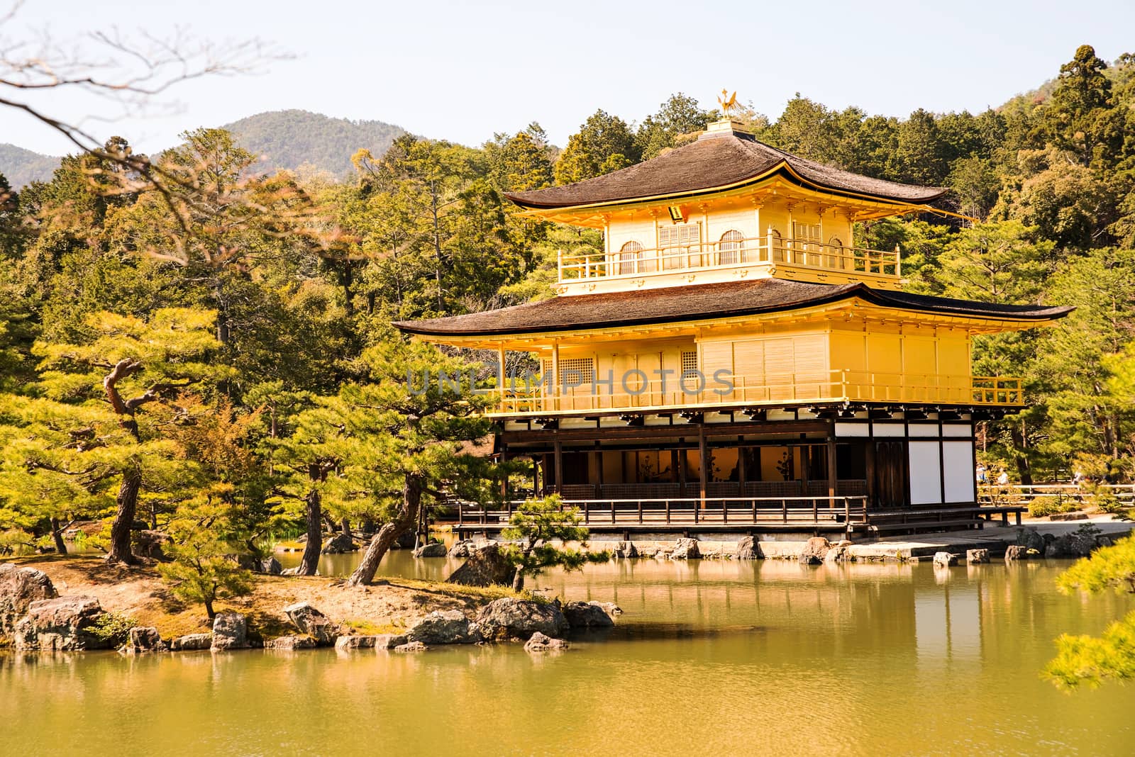 Kinkakuji (Golden Pavilion) is a Zen temple in northern Kyoto whose top two floors are completely covered in gold leaf.