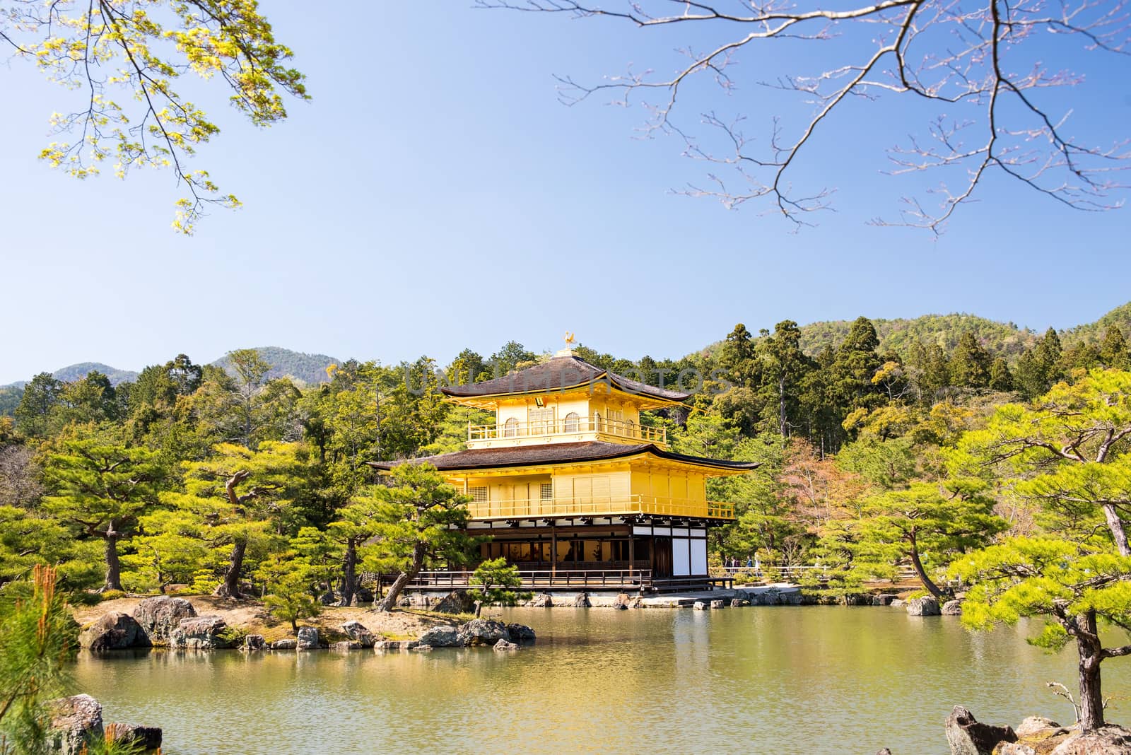 Kinkakuji (Golden Pavilion) is a Zen temple in northern Kyoto whose top two floors are completely covered in gold leaf.