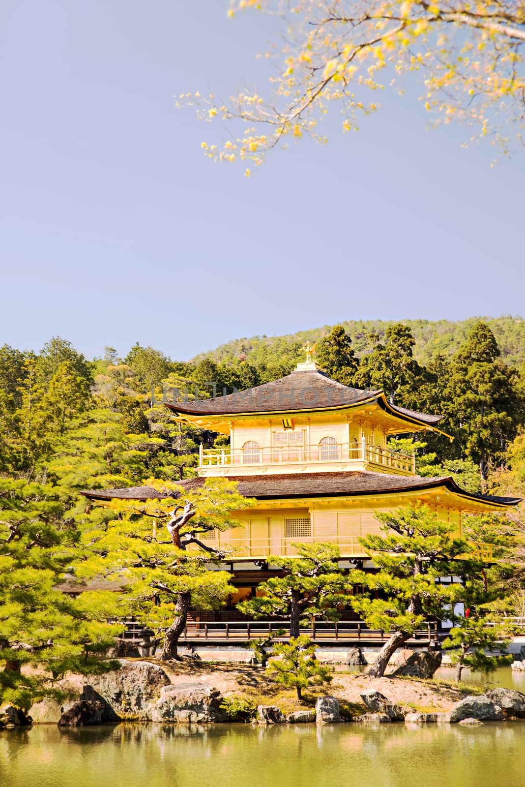 Kinkakuji (Golden Pavilion) is a Zen temple in northern Kyoto by Yuri2012