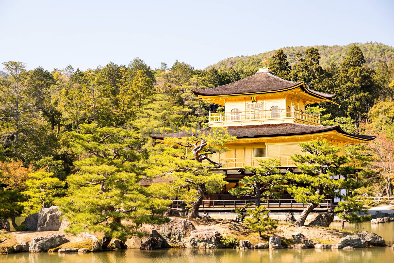 Kinkakuji (Golden Pavilion) is a Zen temple in northern Kyoto by Yuri2012