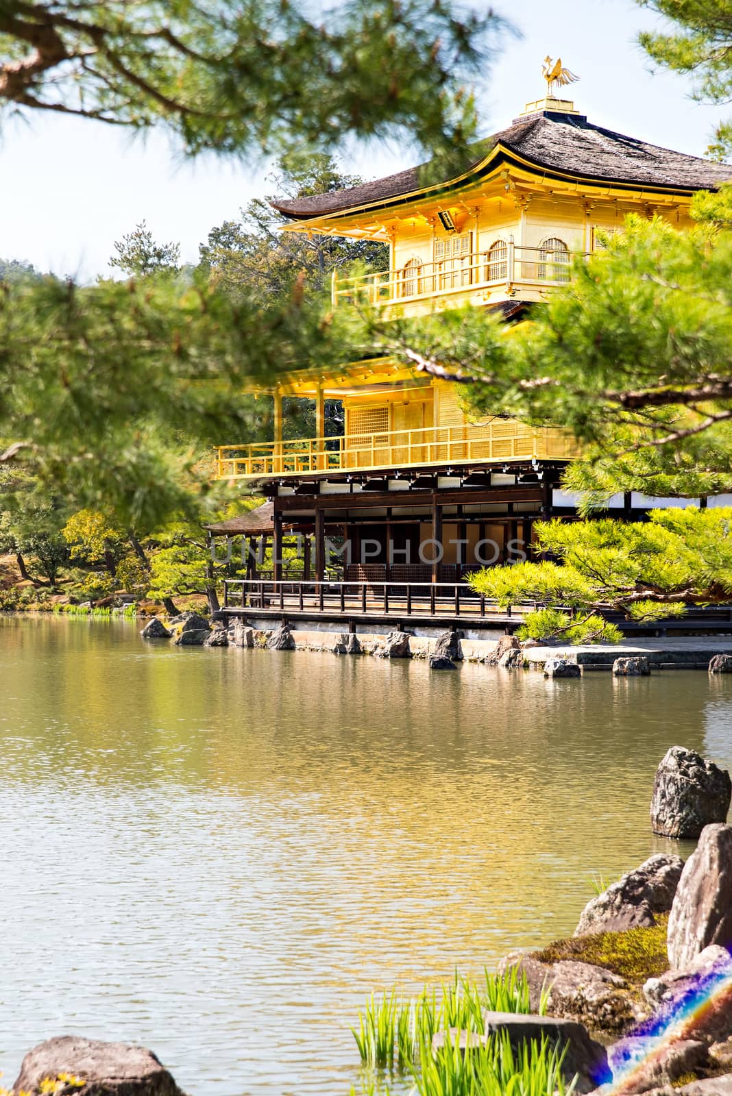 Kinkakuji (Golden Pavilion) is a Zen temple in northern Kyoto whose top two floors are completely covered in gold leaf.