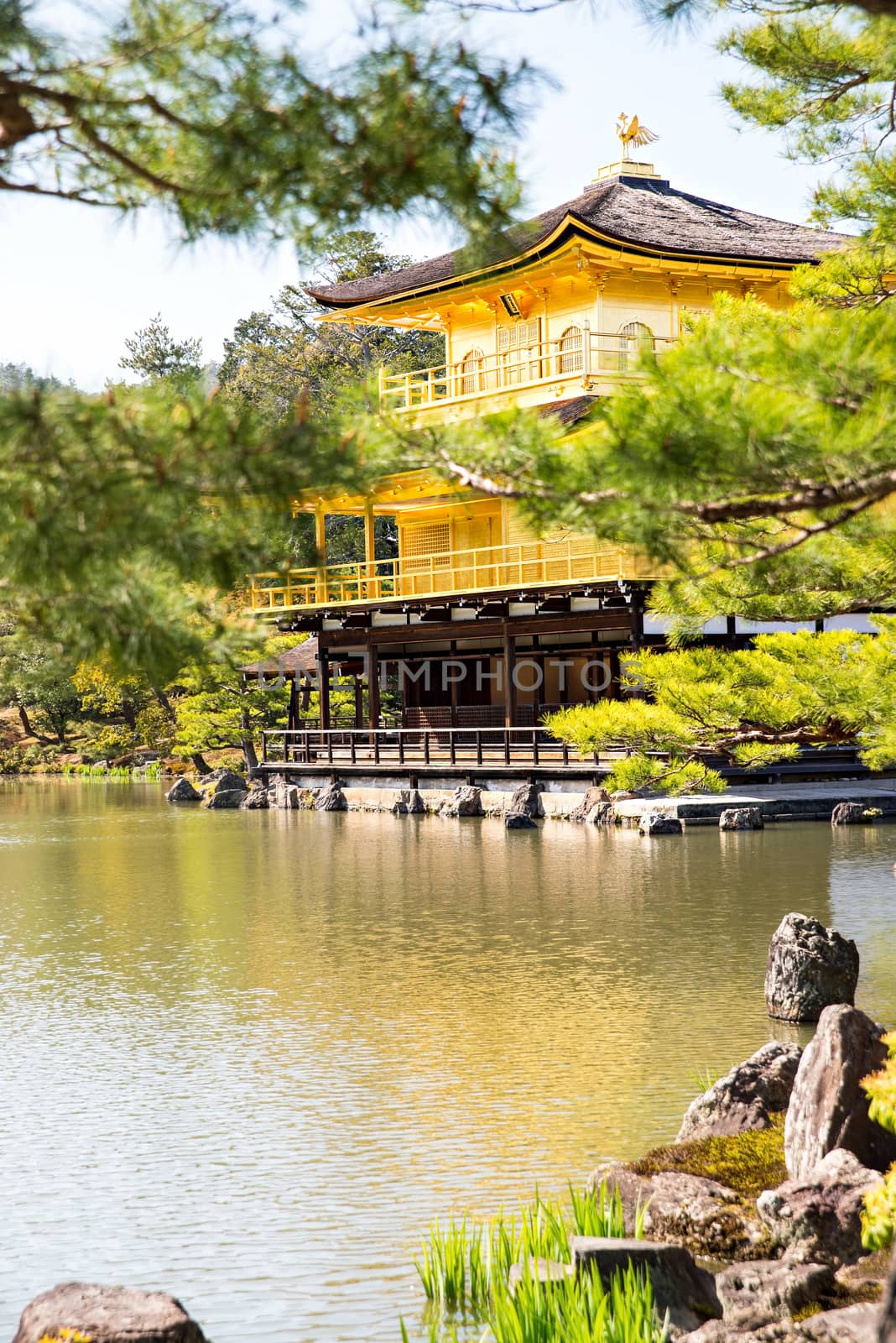 Kinkakuji (Golden Pavilion) is a Zen temple in northern Kyoto whose top two floors are completely covered in gold leaf.