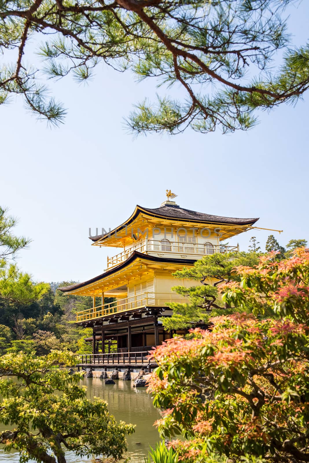 Kinkakuji (Golden Pavilion) is a Zen temple in northern Kyoto by Yuri2012