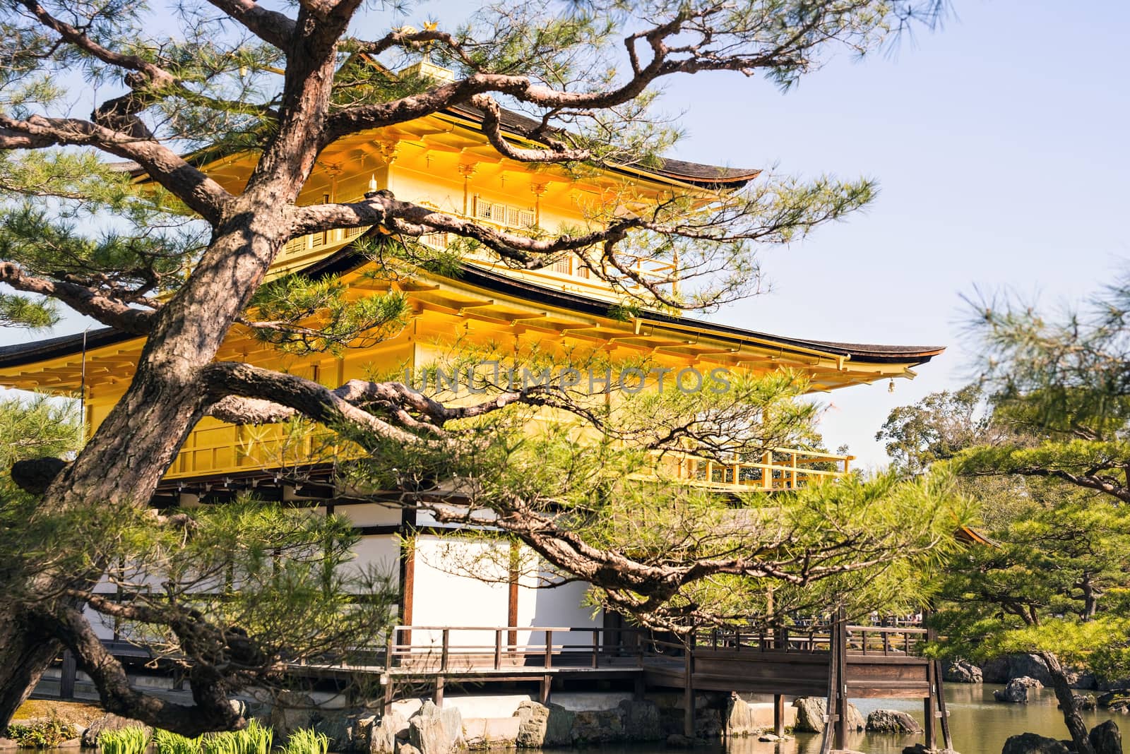 Kinkakuji (Golden Pavilion) is a Zen temple in northern Kyoto by Yuri2012