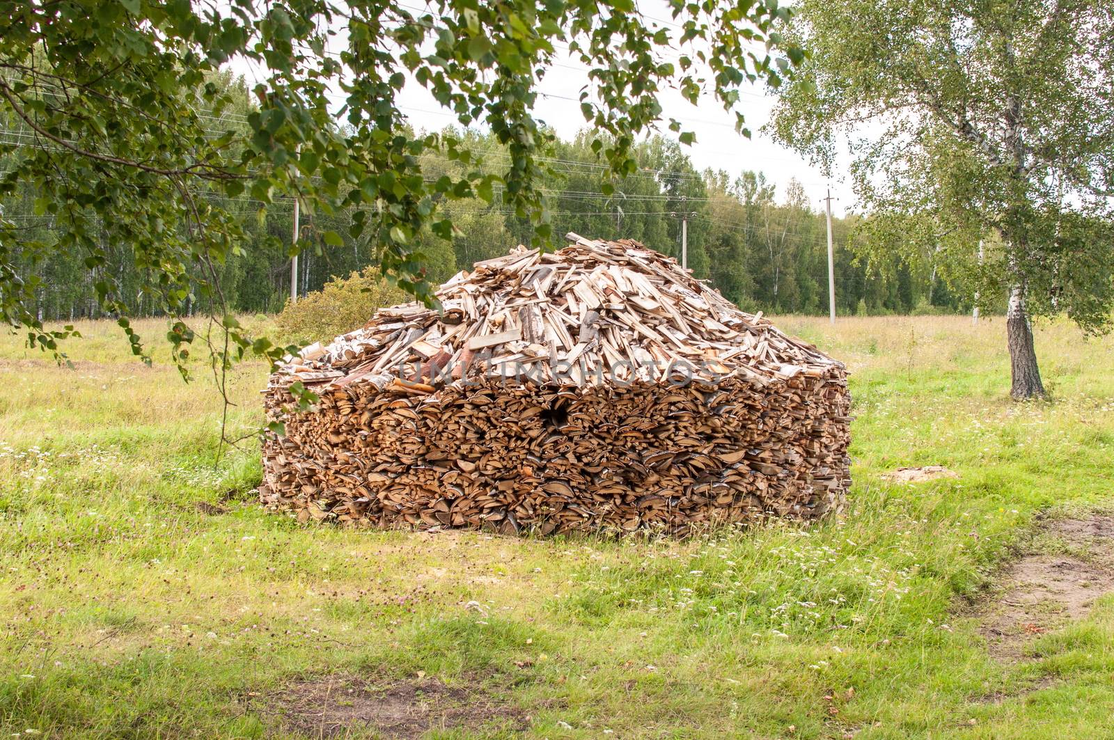 Stack of Cleaving Birch Firewood in Forest Glade on the Village Outskirts, Western Siberia, Russia