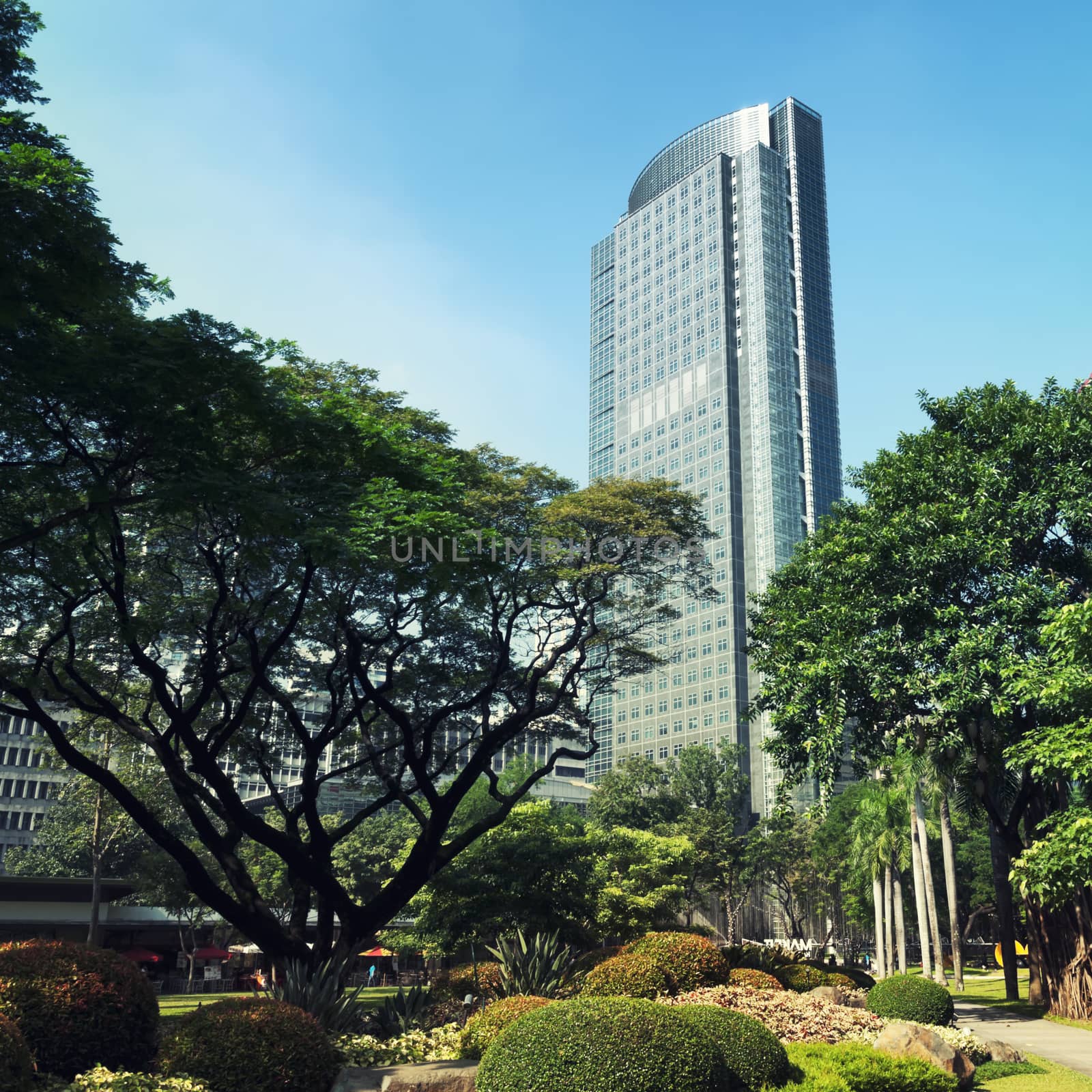 Ayala Tower One view from Ayala Triangle Gardens. It its one of the tallest building in the Philippines, (160 metres (525 feet)),  home of the Philippine Stock Exchange.