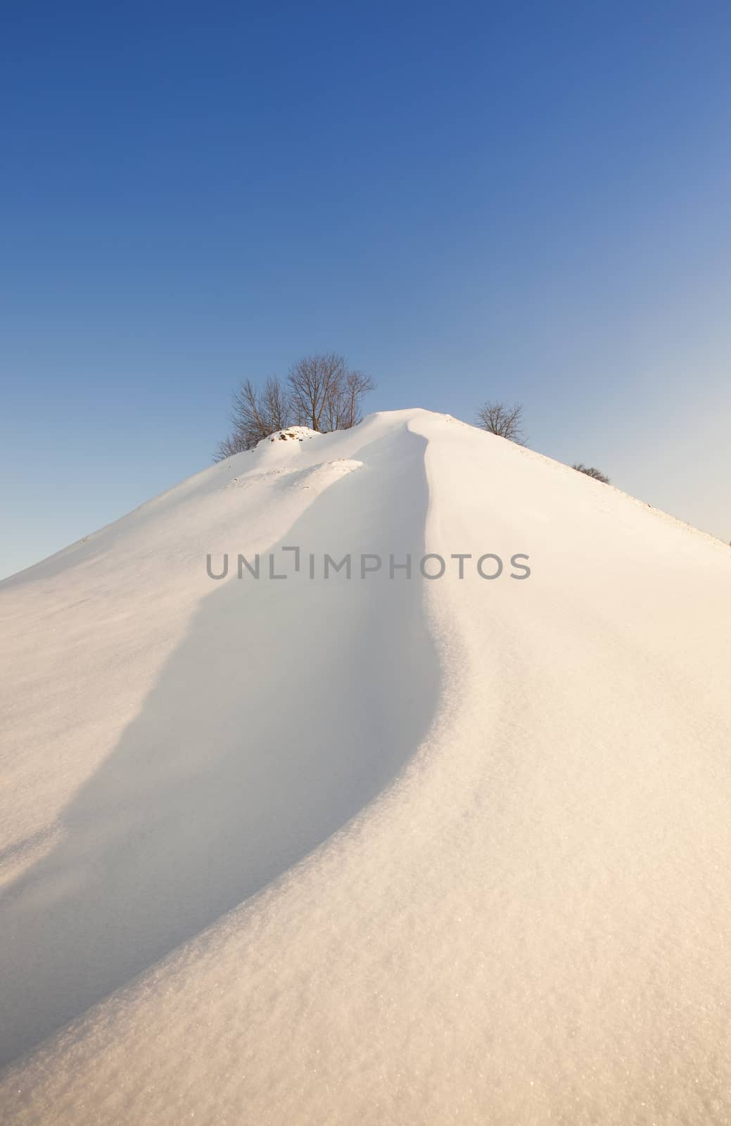   the high hill covered with snow. on the hill trees grow