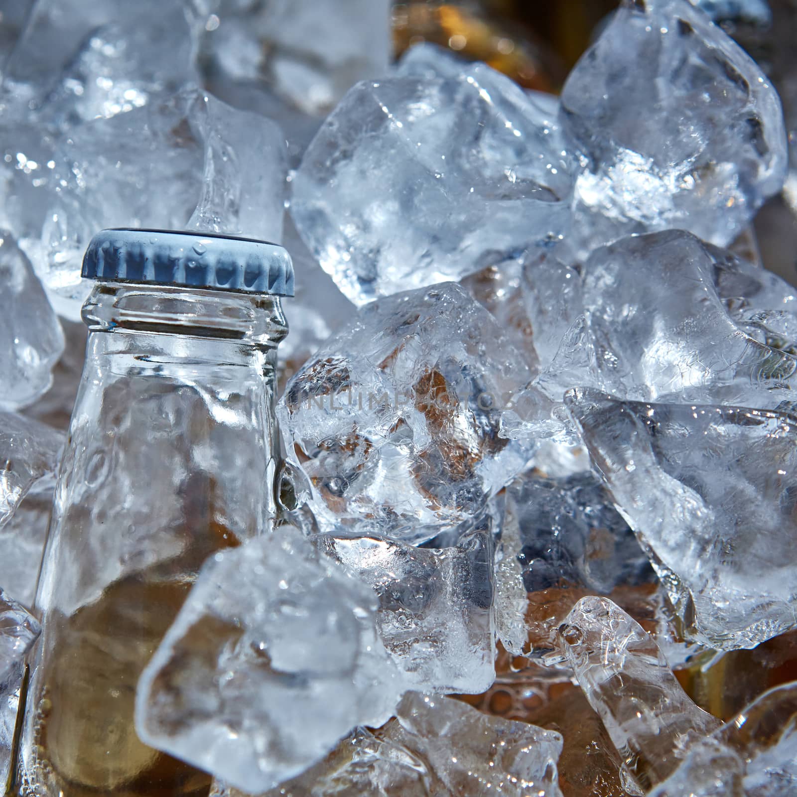 Bottle of beer is in ice. Shallow dof