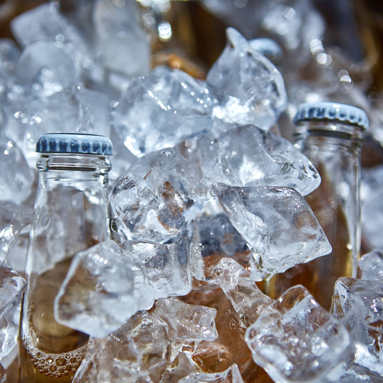 Two bottle of beer is in ice. Shallow dof