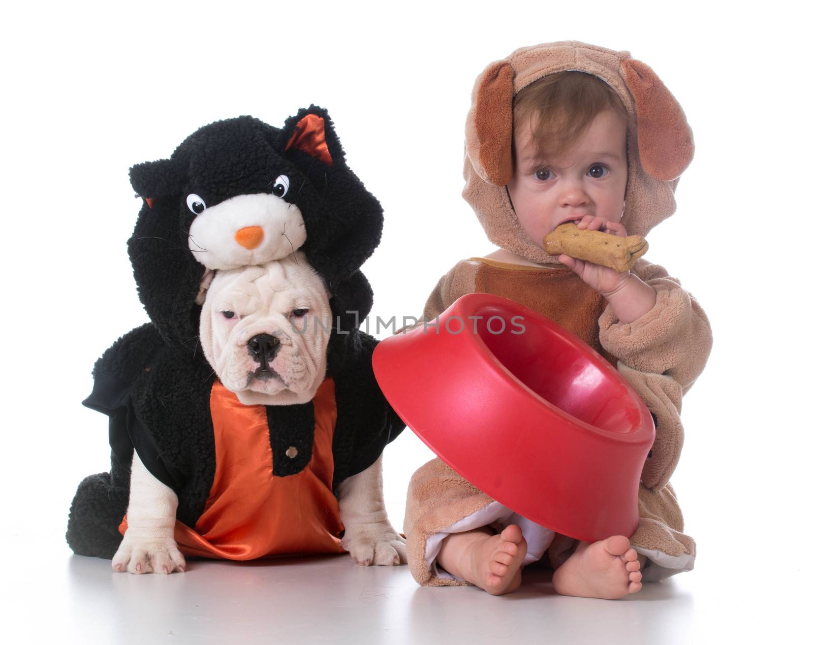 feeding confusion - child dressed like a dog and dog dressed like a cat