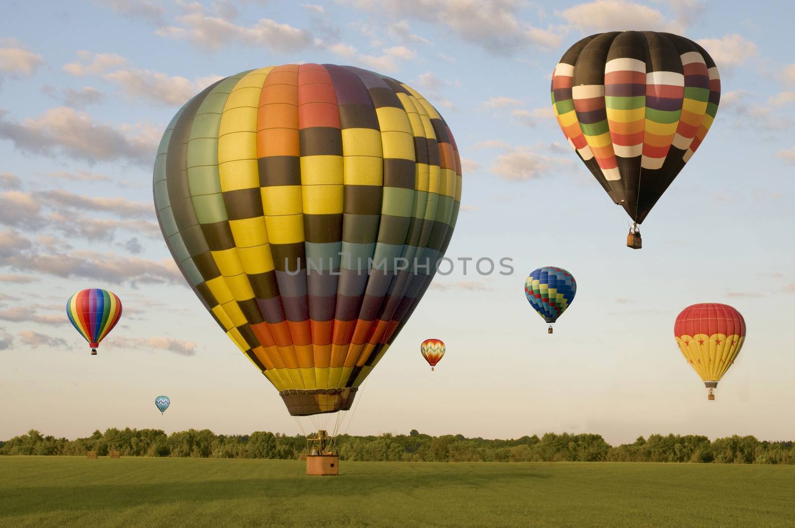 Various hot-air balloons landing in a field. One is on the ground. Others are floating.