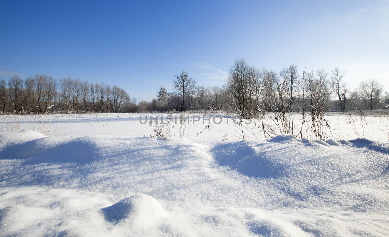  the agricultural field covered with snow in a winter season