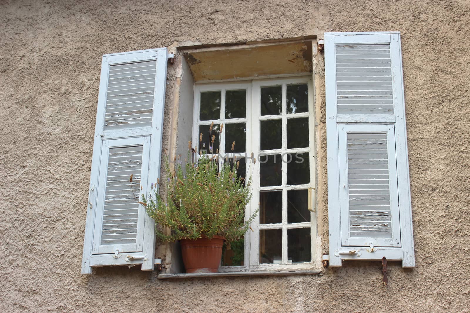 Rustic window and Lavender in the village of Eze, France