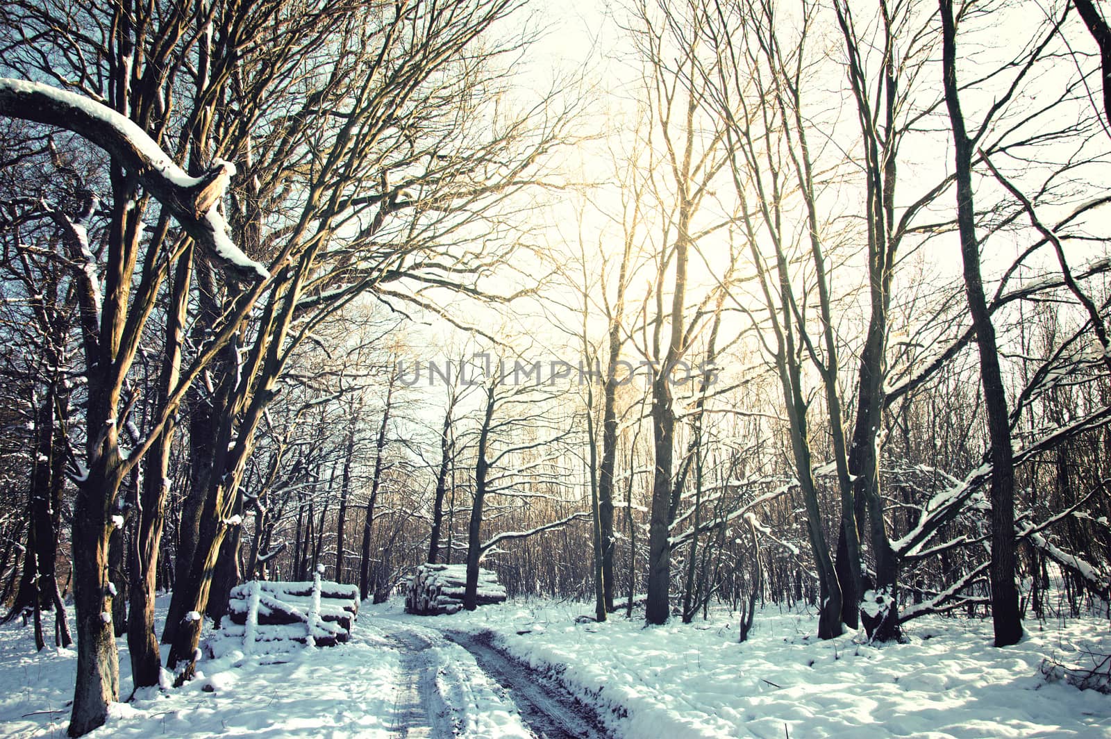 Winter conceptual image. by satariel