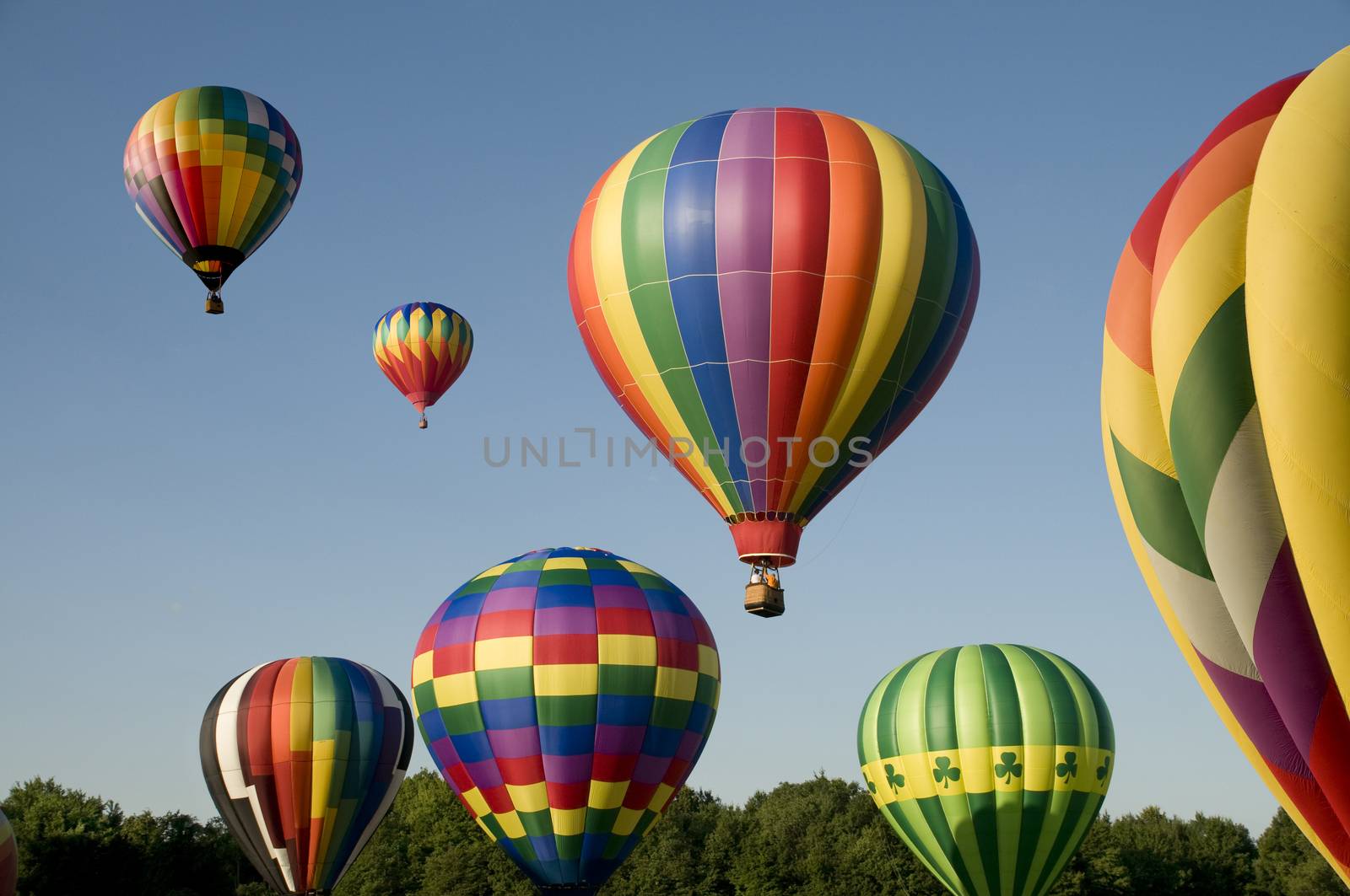 Various hot-air balloons with colorful envelopes ascending or launching at a ballooning festival