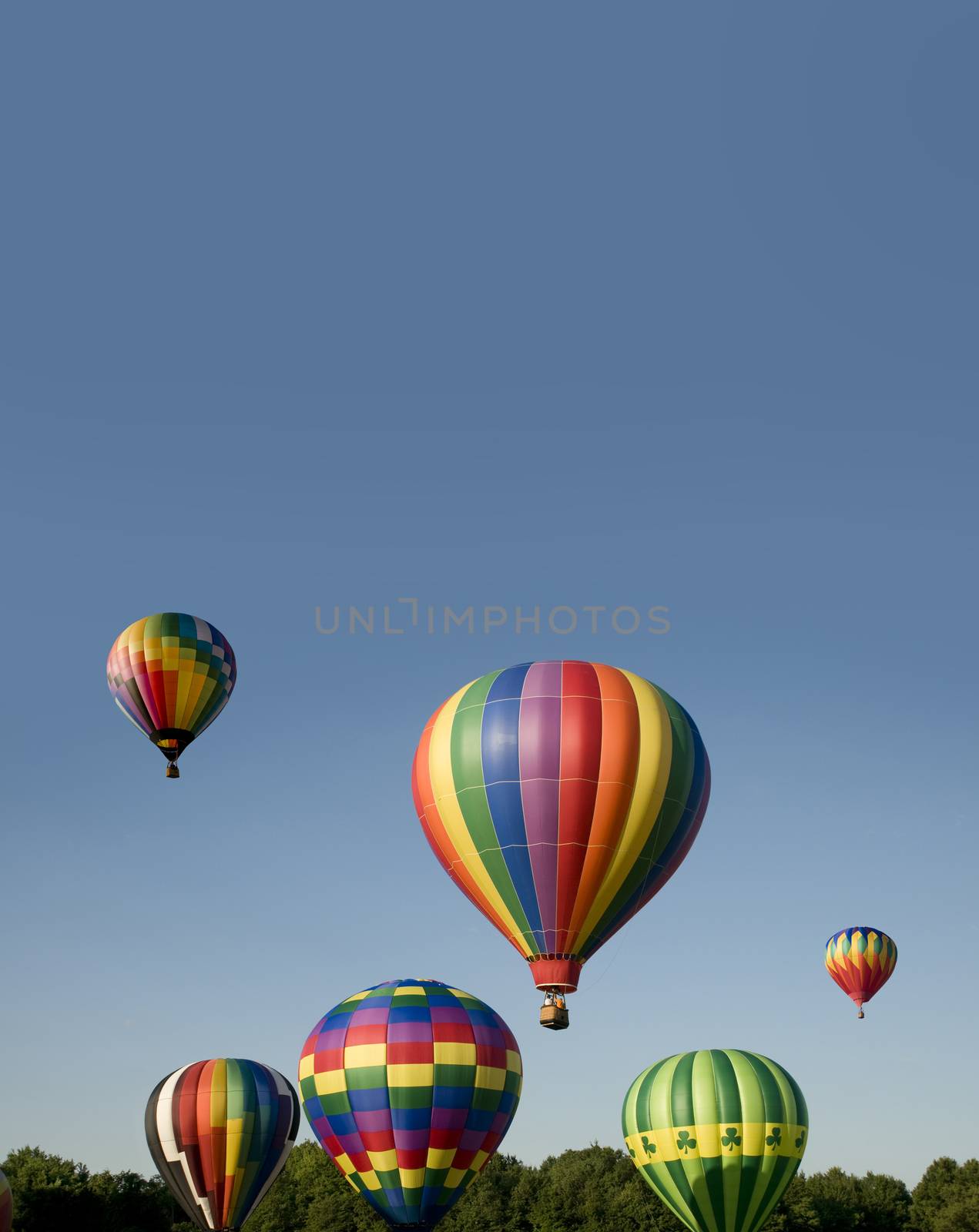 Various hot-air balloons with colorful envelopes ascending or launching at a ballooning festival