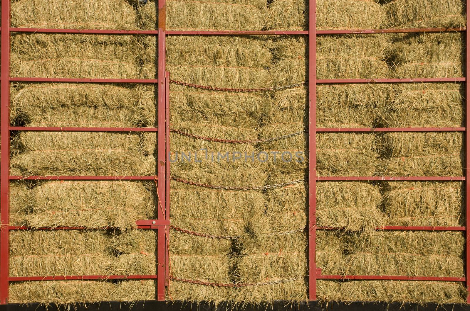 Hay bales piled within a cart with red metal bars