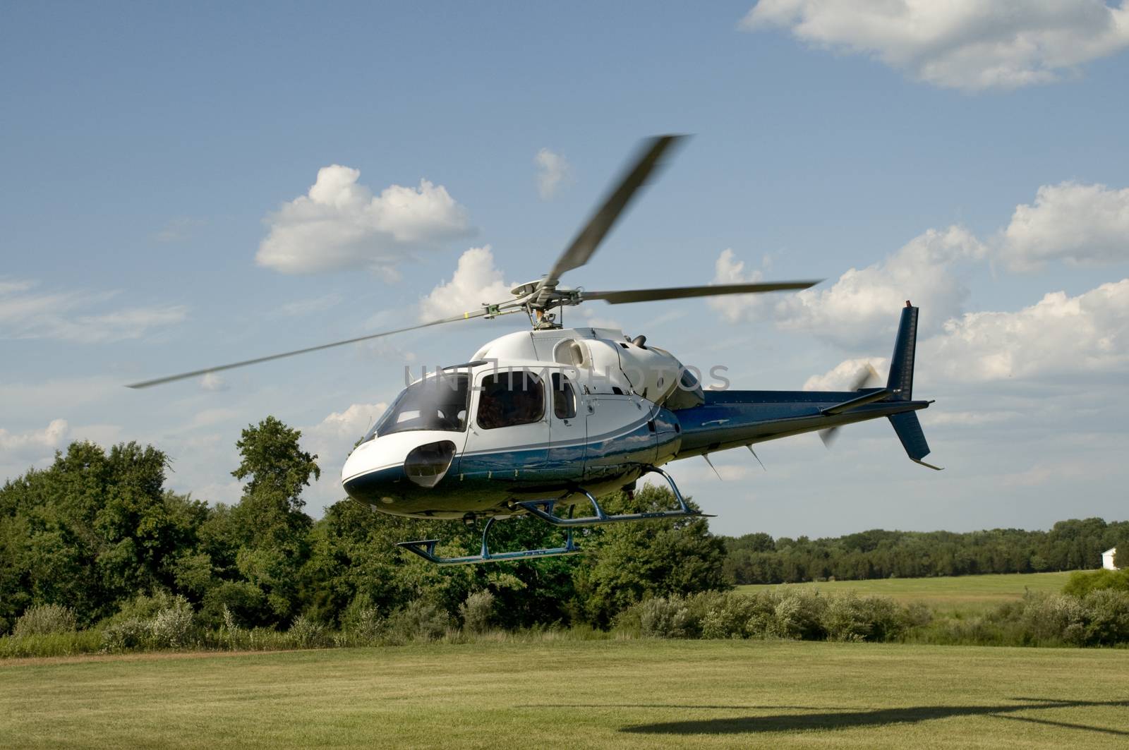 Blue and white helicopter taking off or landing in a field