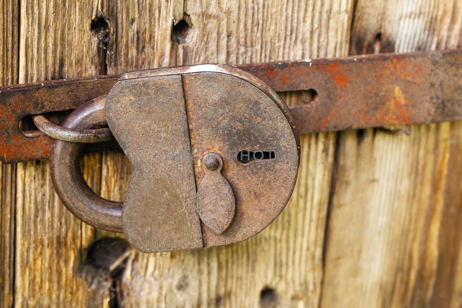   the old lock covered with a rust hanging on wooden doors