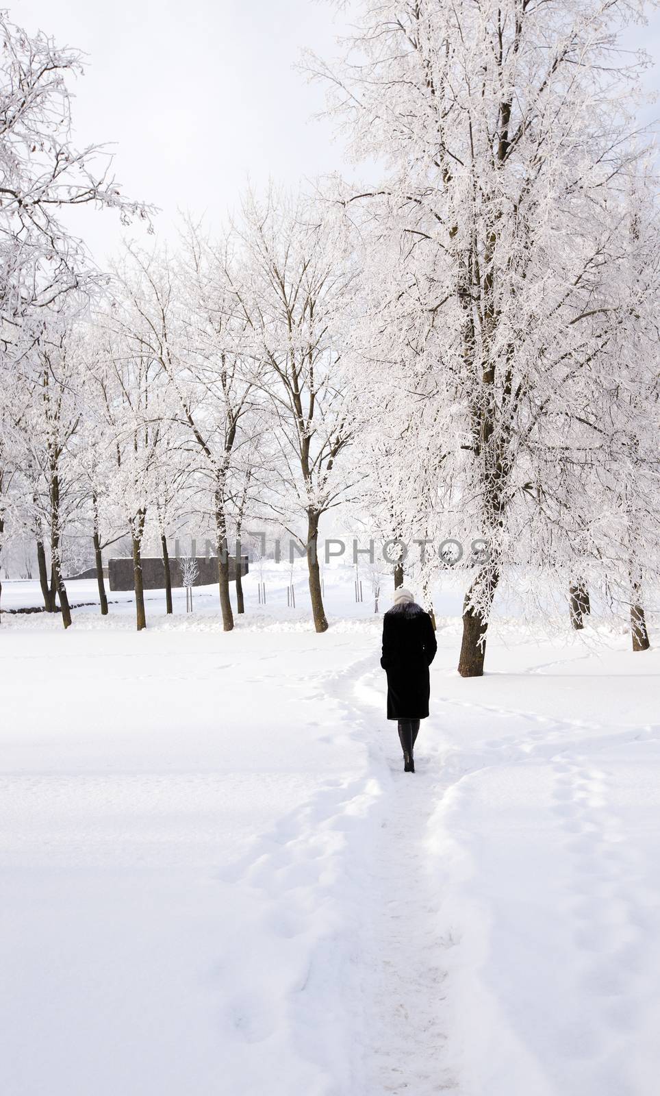  the girl going on a footpath in park. winter season