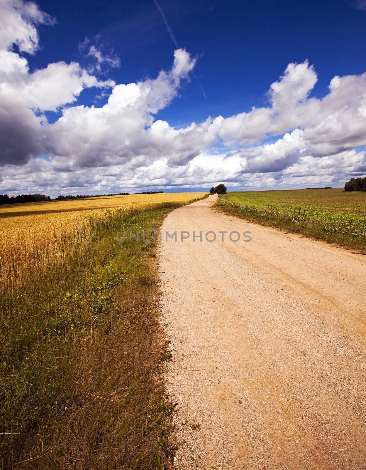   two not asphalted rural roads which are passing nearby
